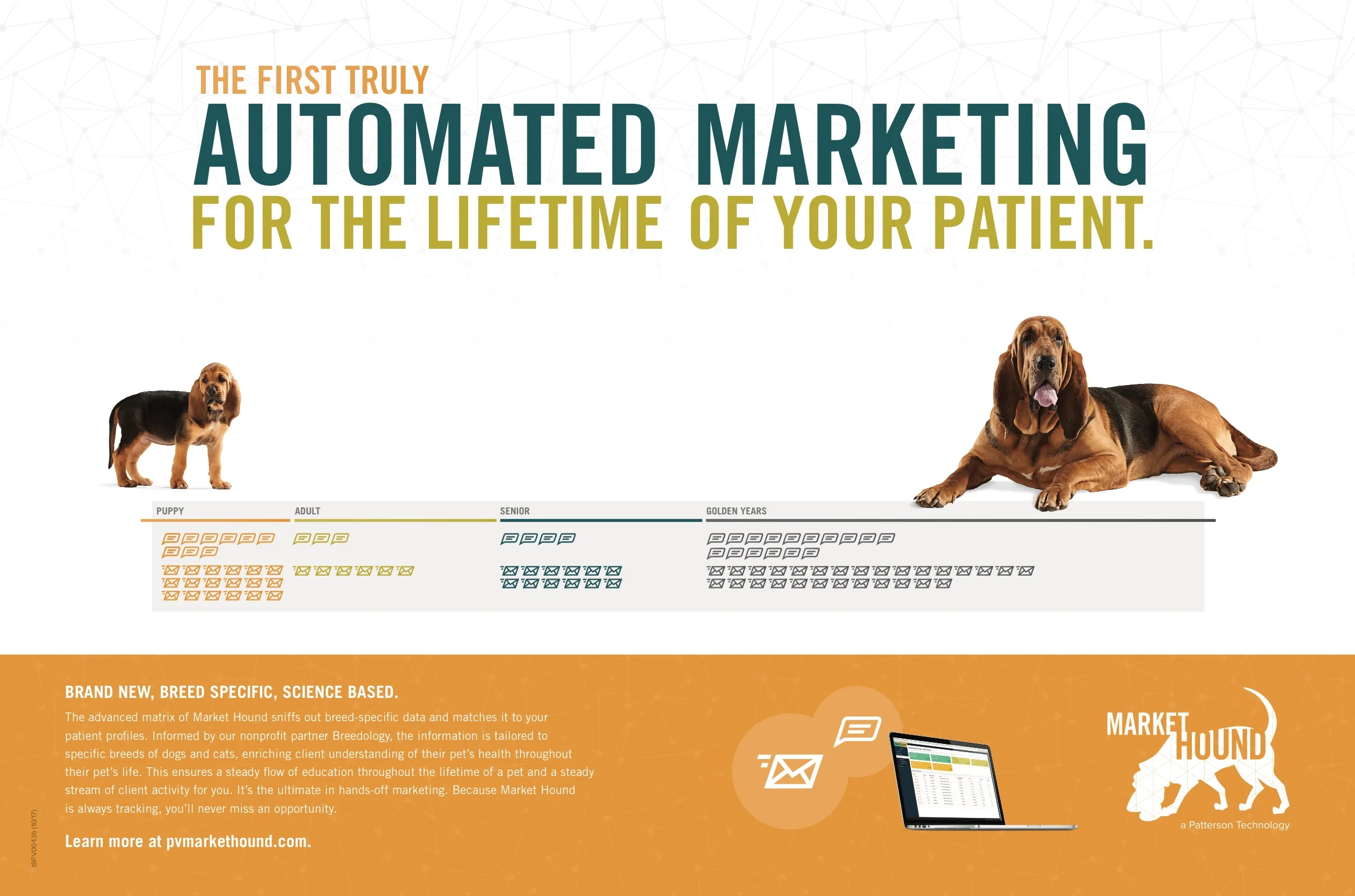Market Hound spread.jpg