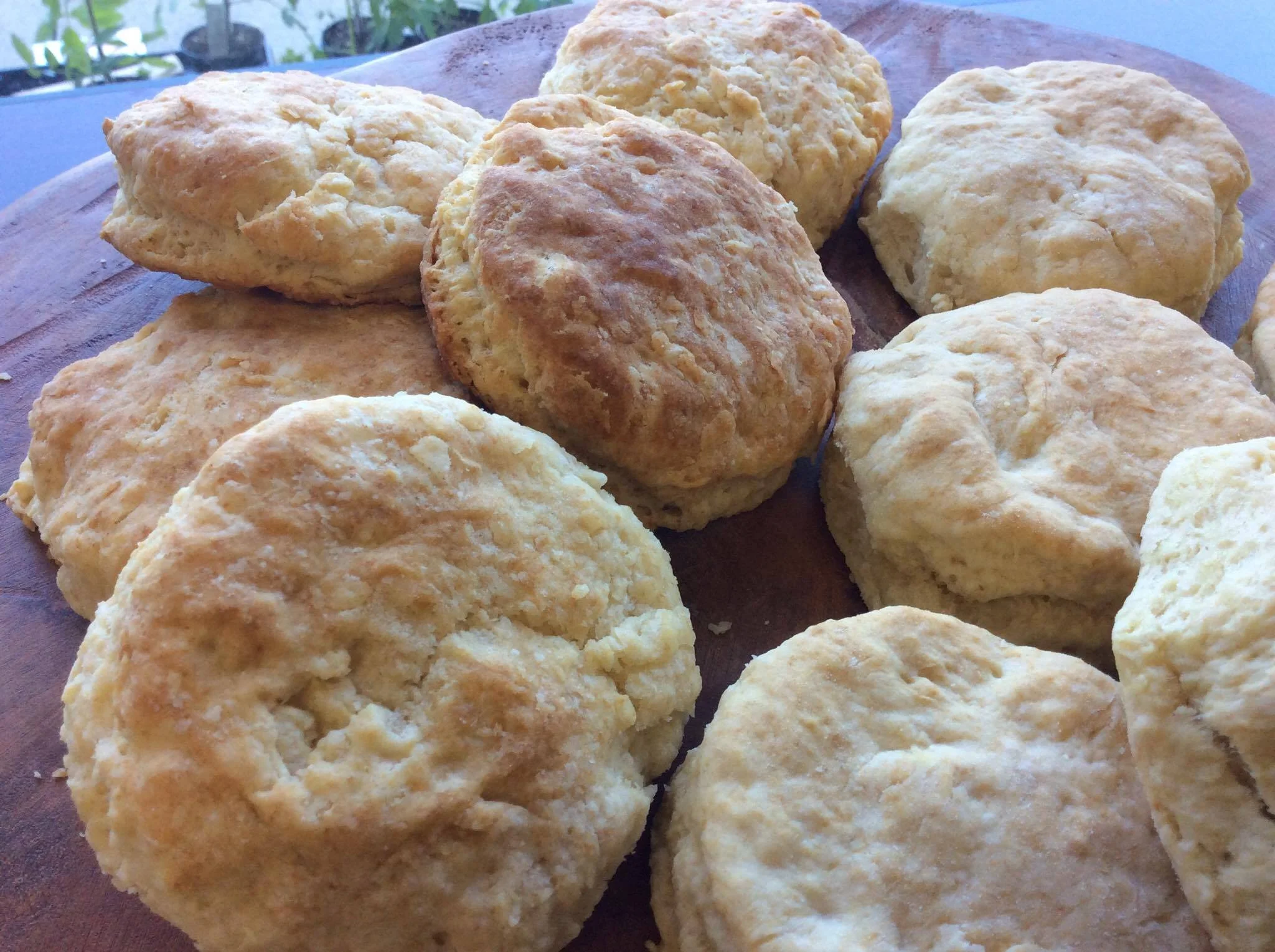 biscuits for days.jpeg