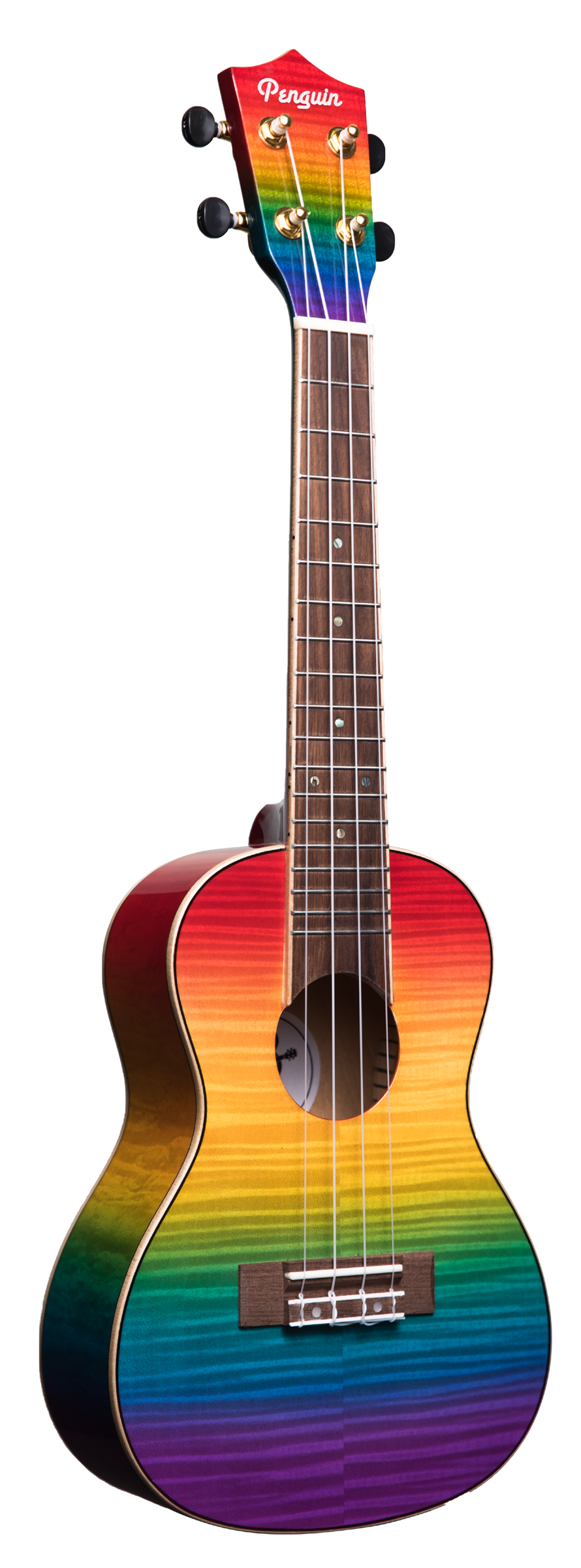 PGUK555C-SMALL.png