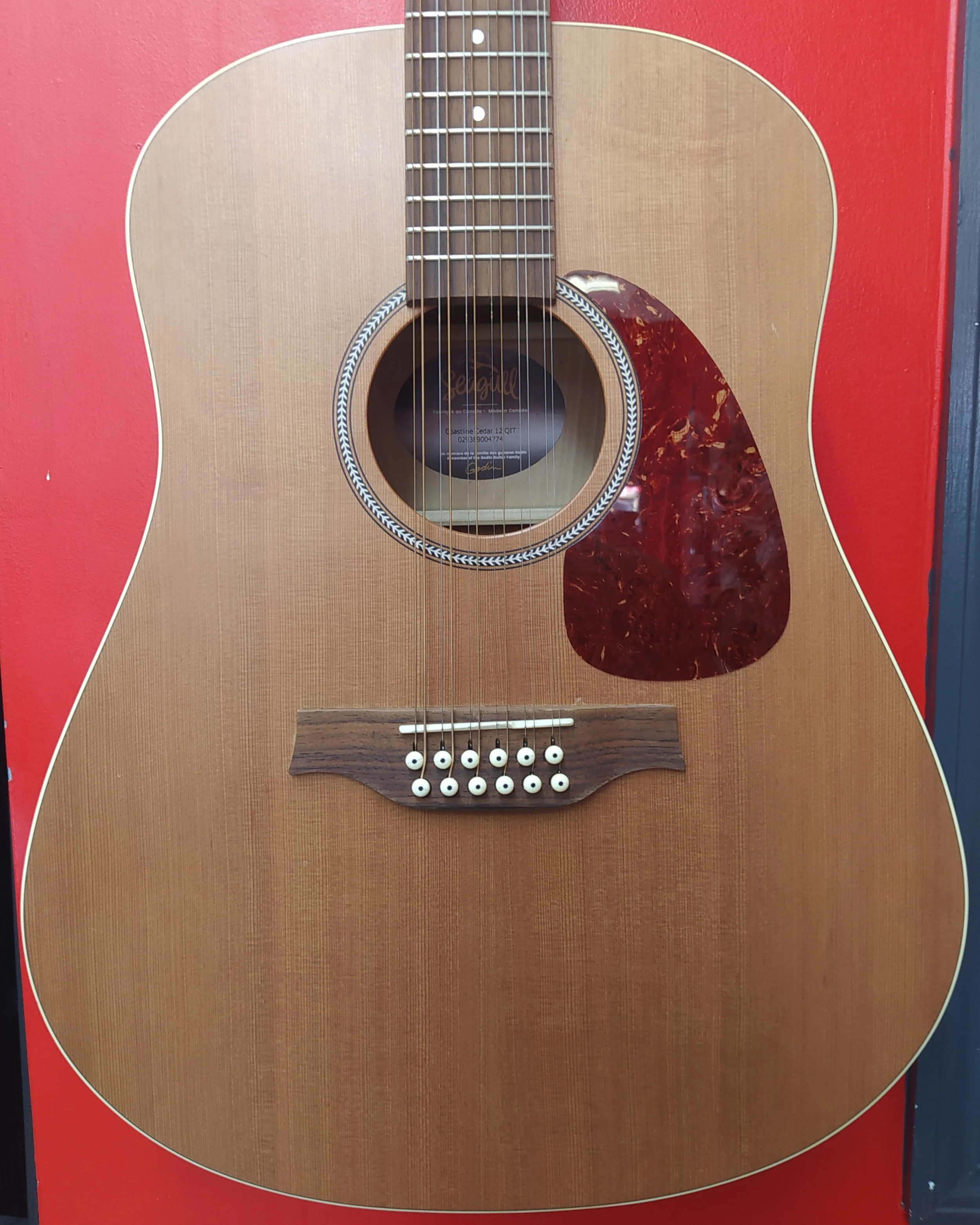seagull coastline 12 string