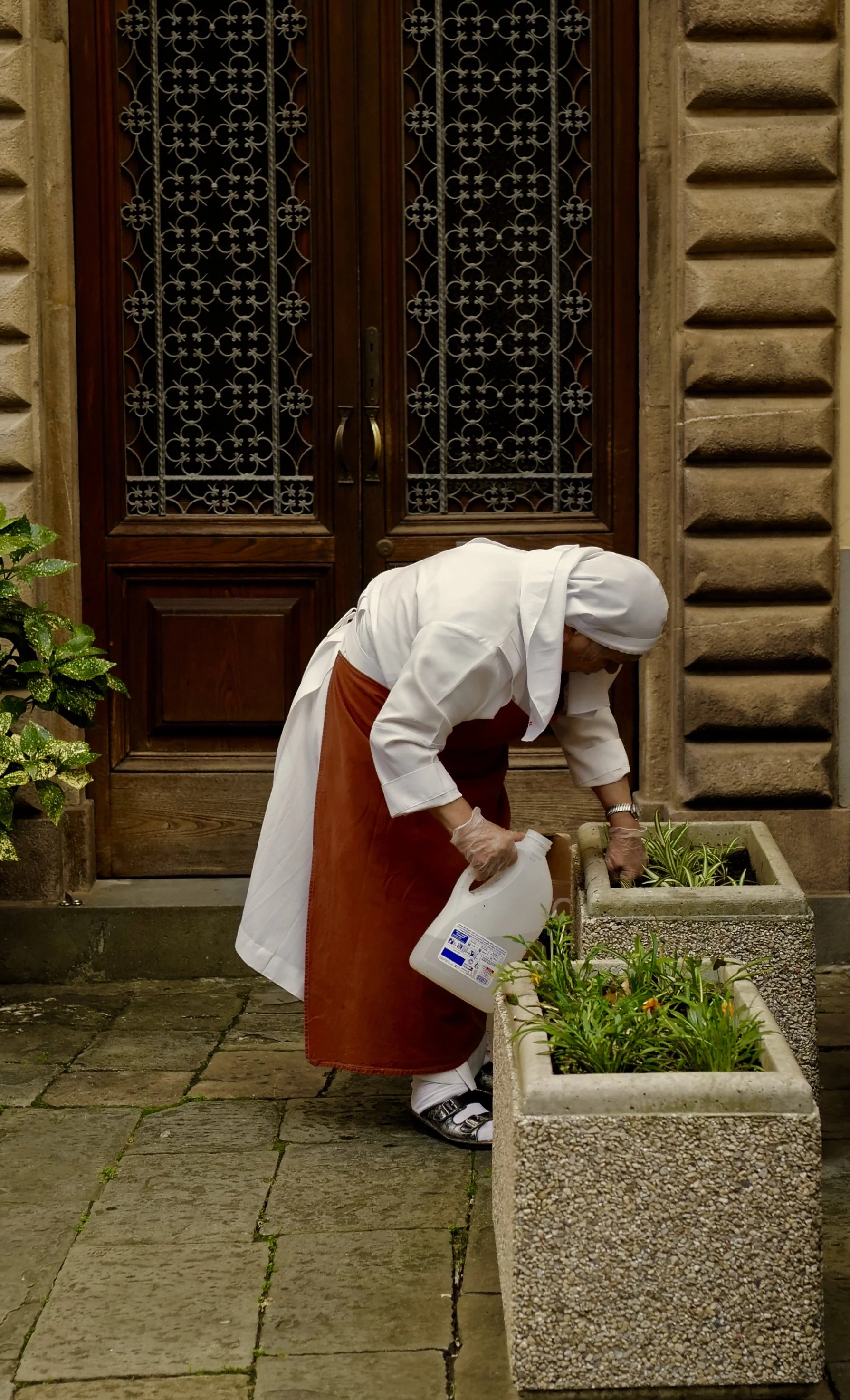 ANTHONY JANELLI "Moments" Photo Exhibition. Opening Reception Jan 31, 6:30-8:30