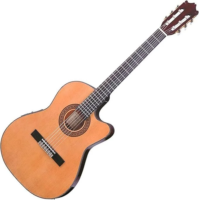 Ibanez classical cutaway.jpg