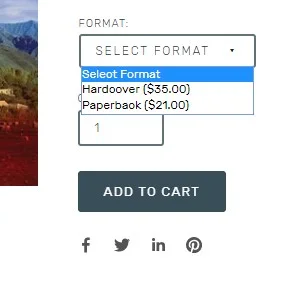 format select.jpg