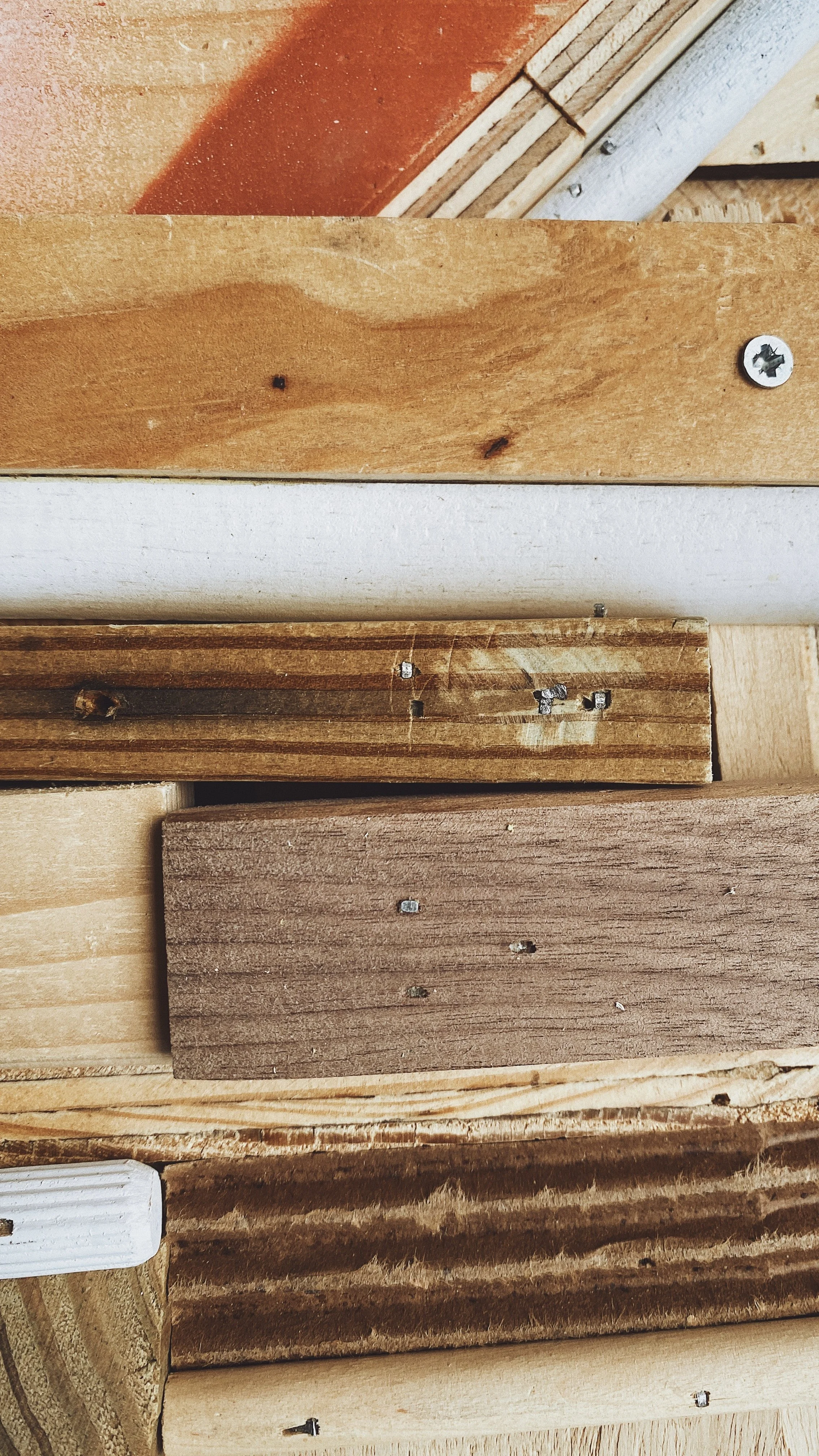 Khara Woods_ShapeShifter_Assemblage Detail.jpg