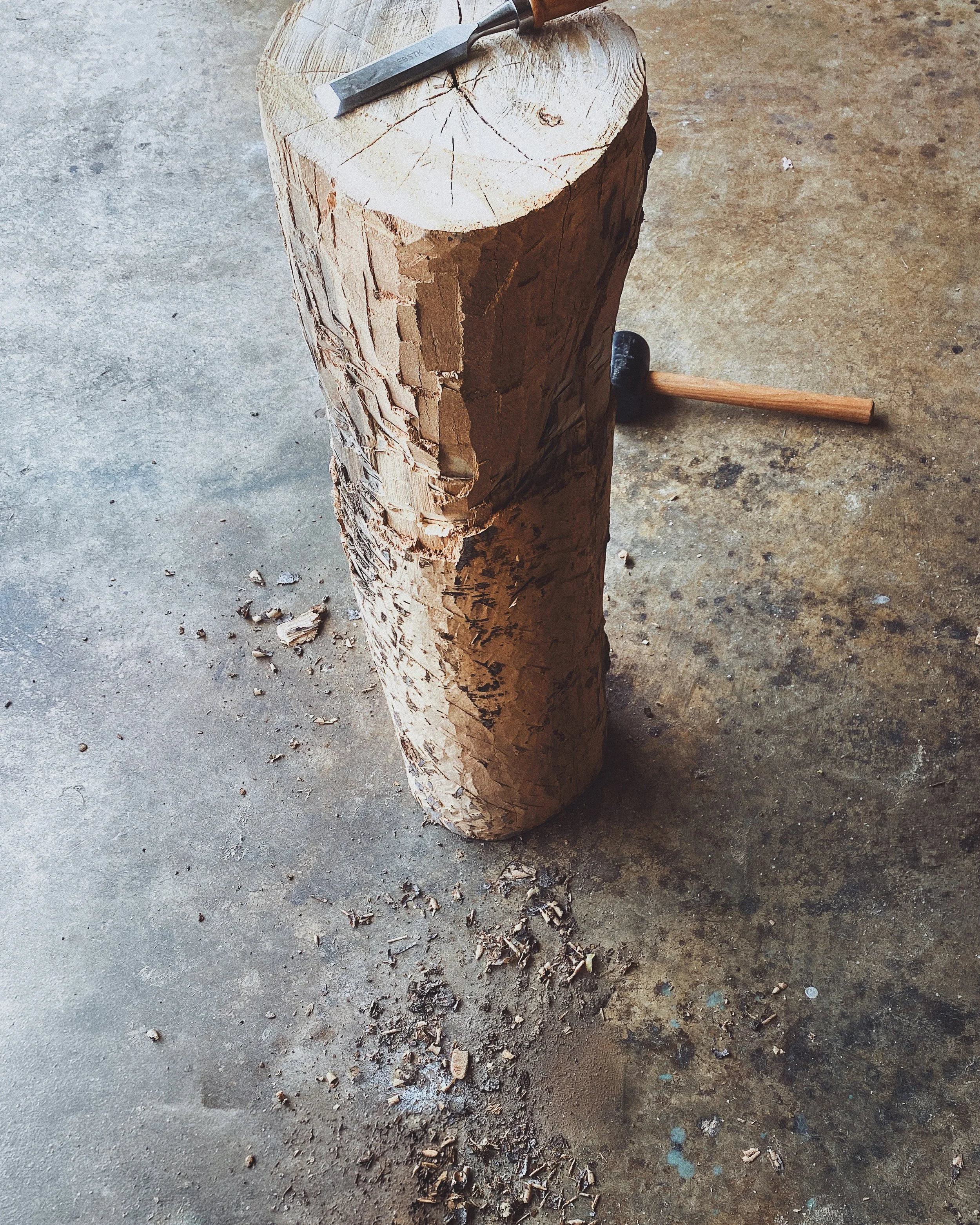 Khara Woods_ShapeShifter_Chiseled Log.jpg