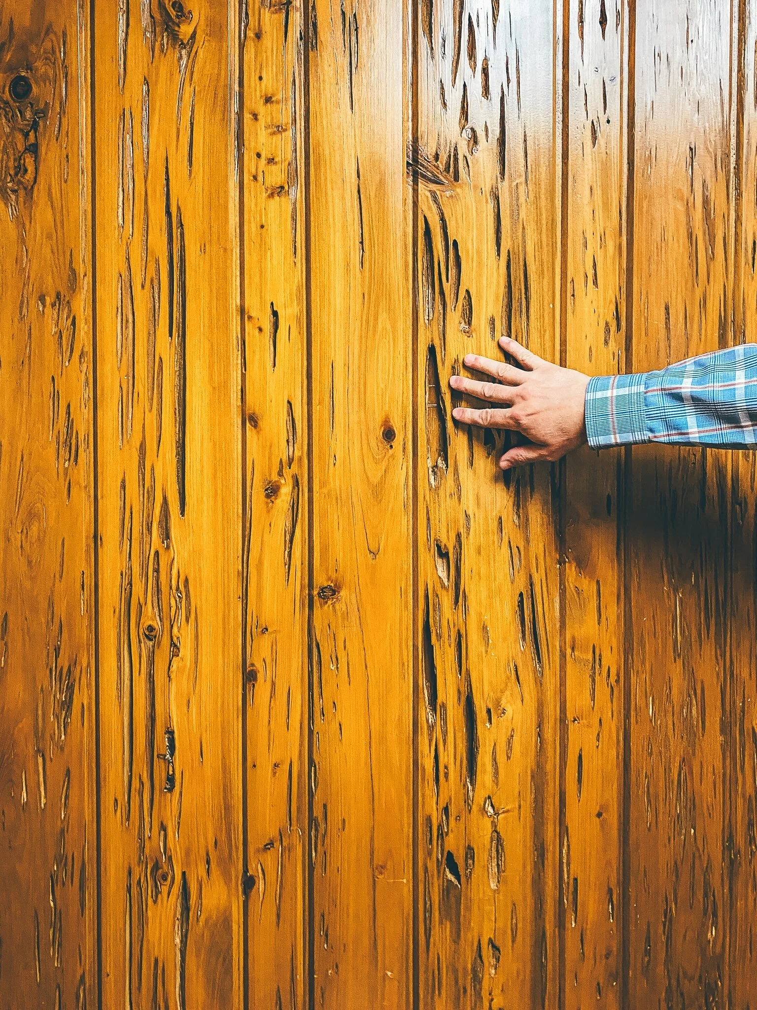 One of my favorite details from my visit to the National Hardwood Lumber Association: pecky wood, marked by pockets and channels that create this mottled surface.

Many thanks to Melissa for connecting me with Dallin Brooks, NHLA Executive Director a