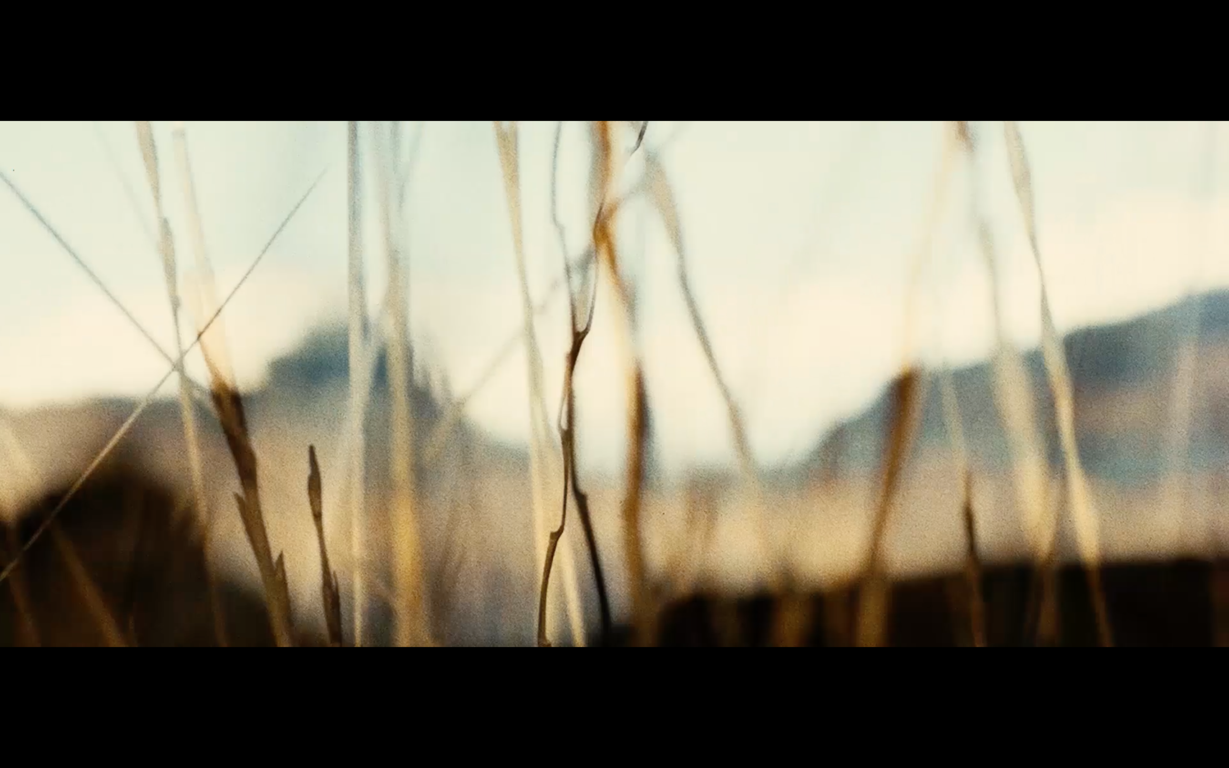 grass.png