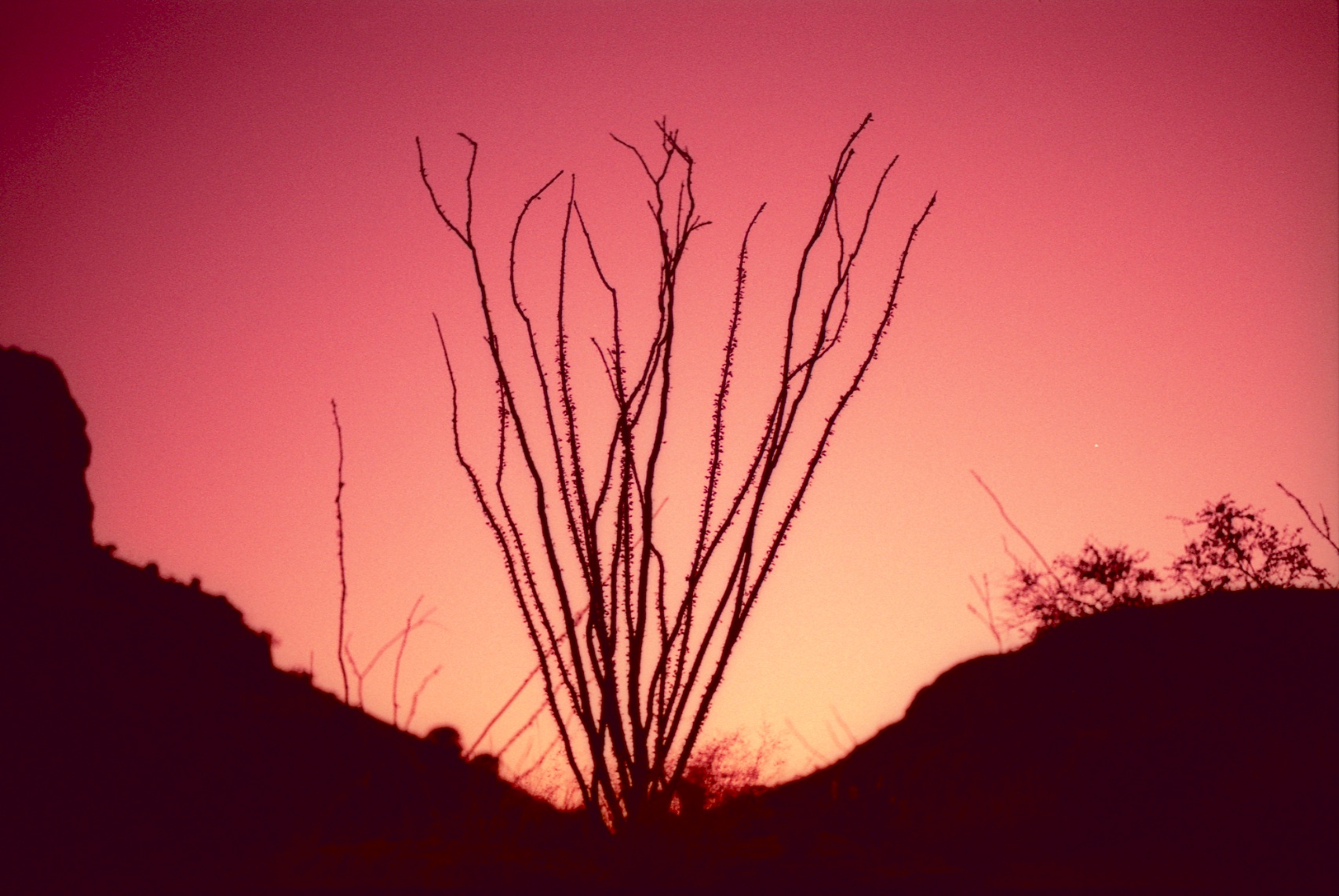 RDW011.jpg