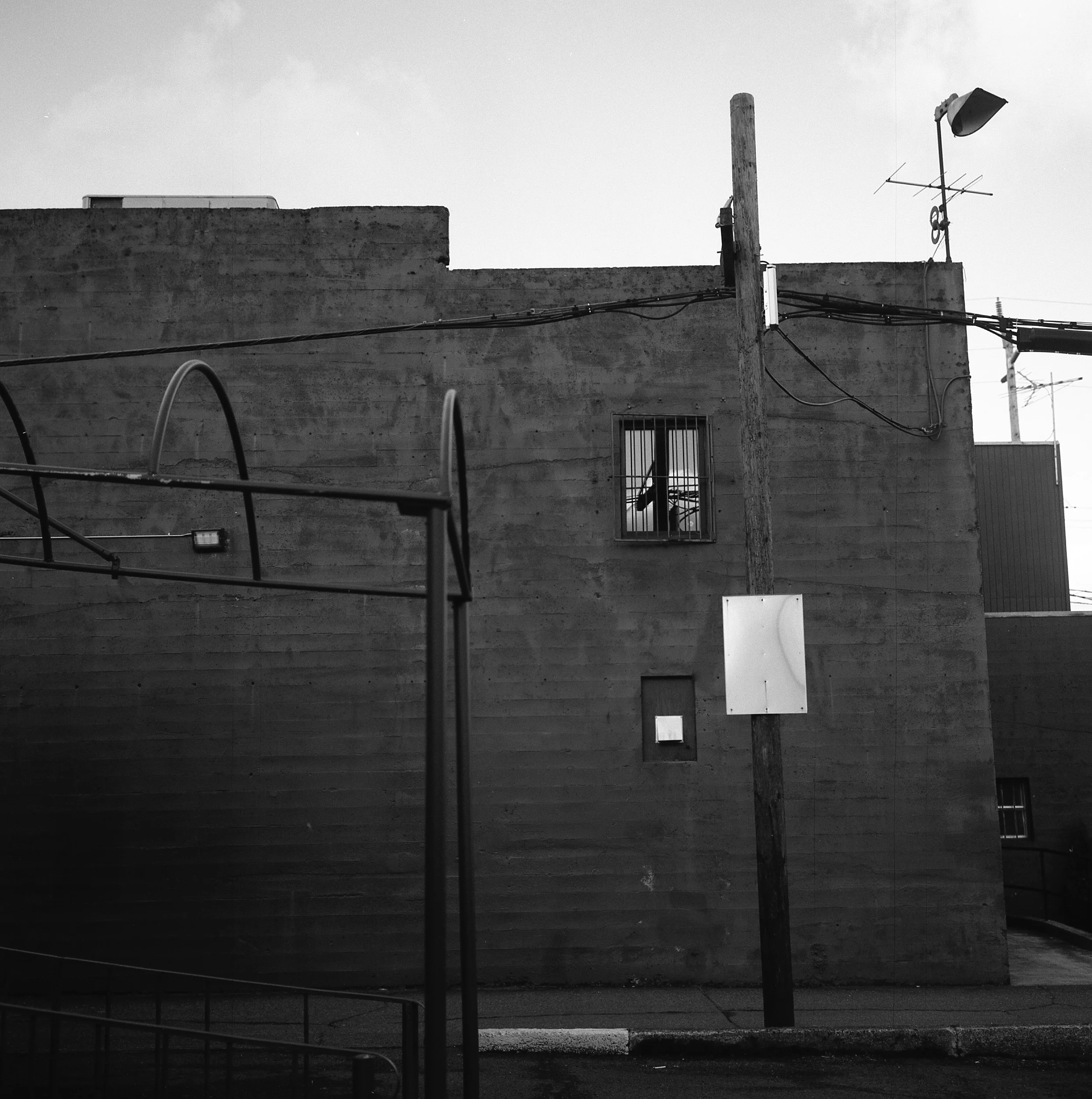 rdw044.jpg