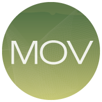 Men of Valor Organize fellowship, discipleship/education, youth and community outreach events for men.