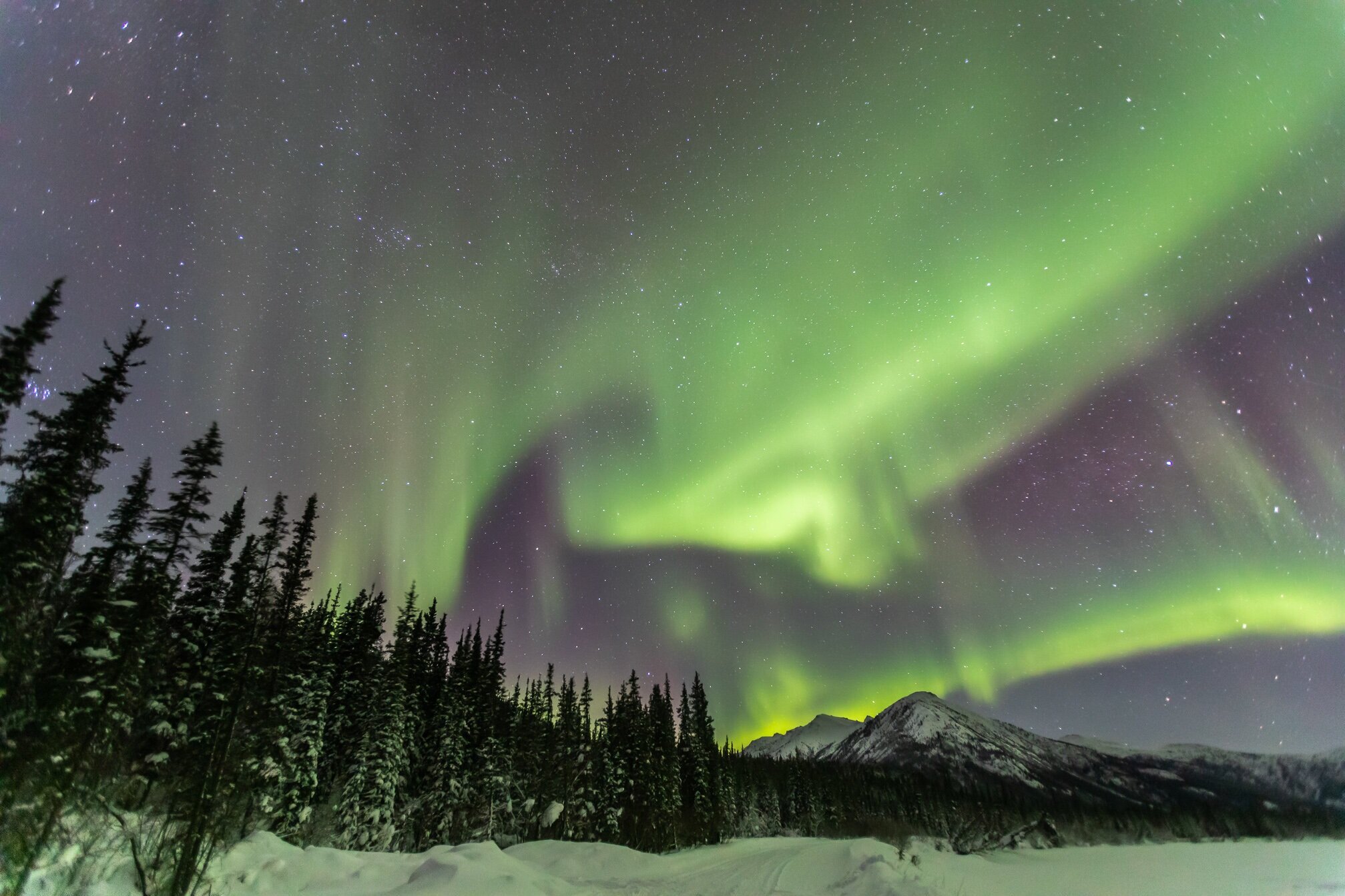 The Man Who Chases Auroras to Push Away Darkness (Outside)