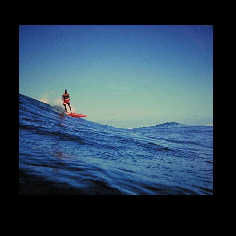 ImageCollage_72a.gif