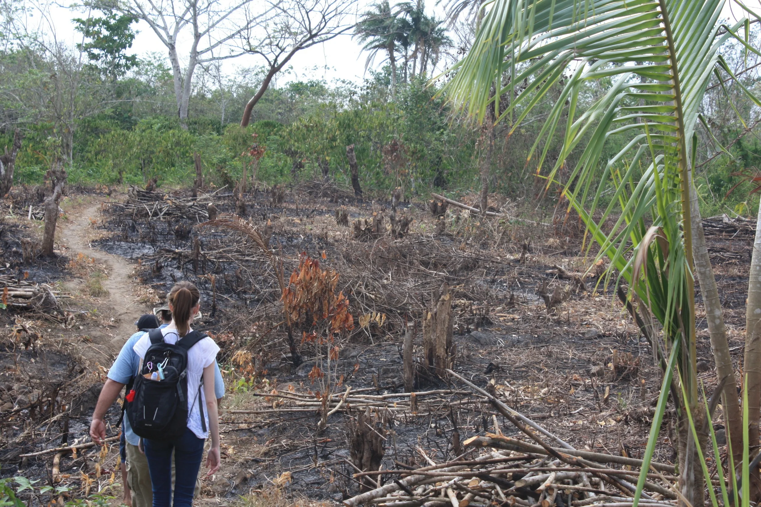Panama April 2015 - Pt 1