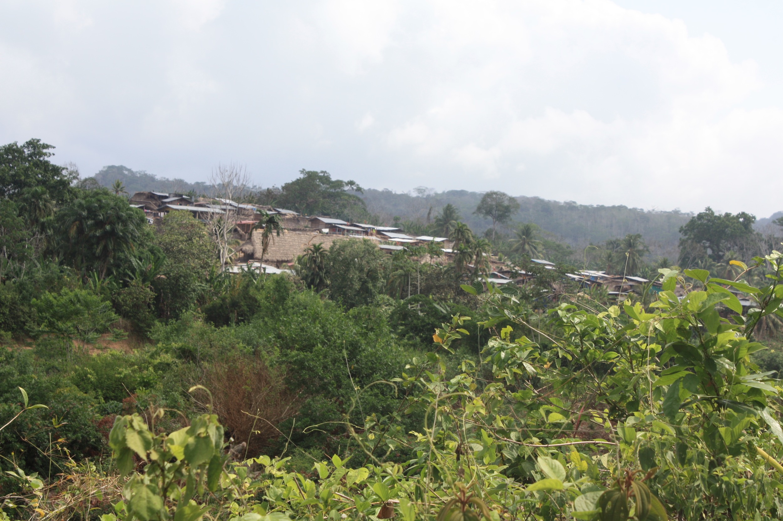 The village of Wala from the road.