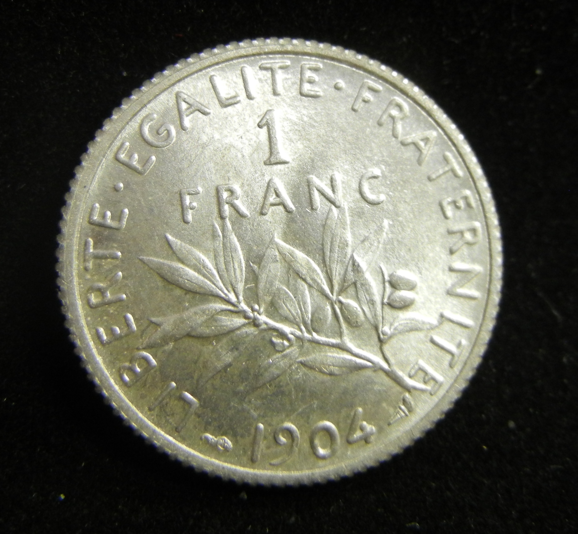 19041francrev.JPG
