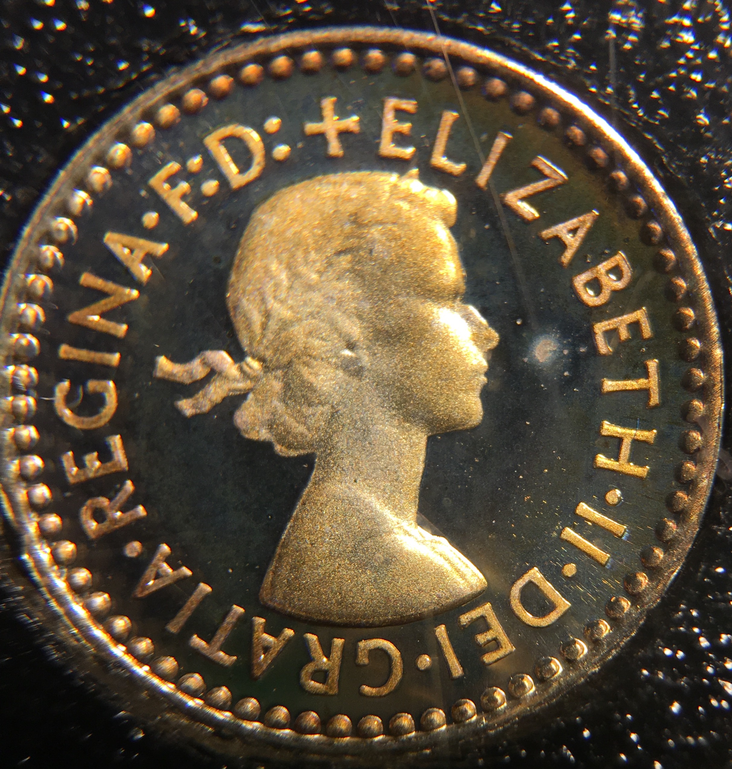 2006eliz1pobv.jpg