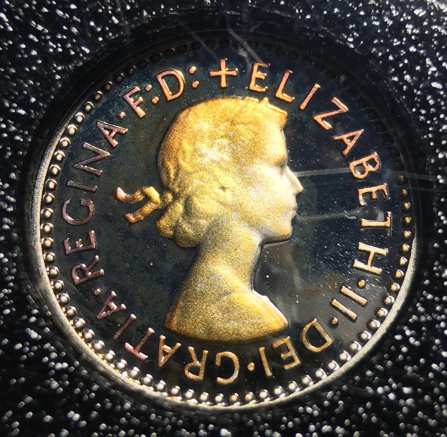 2006eliz2pobv.jpg