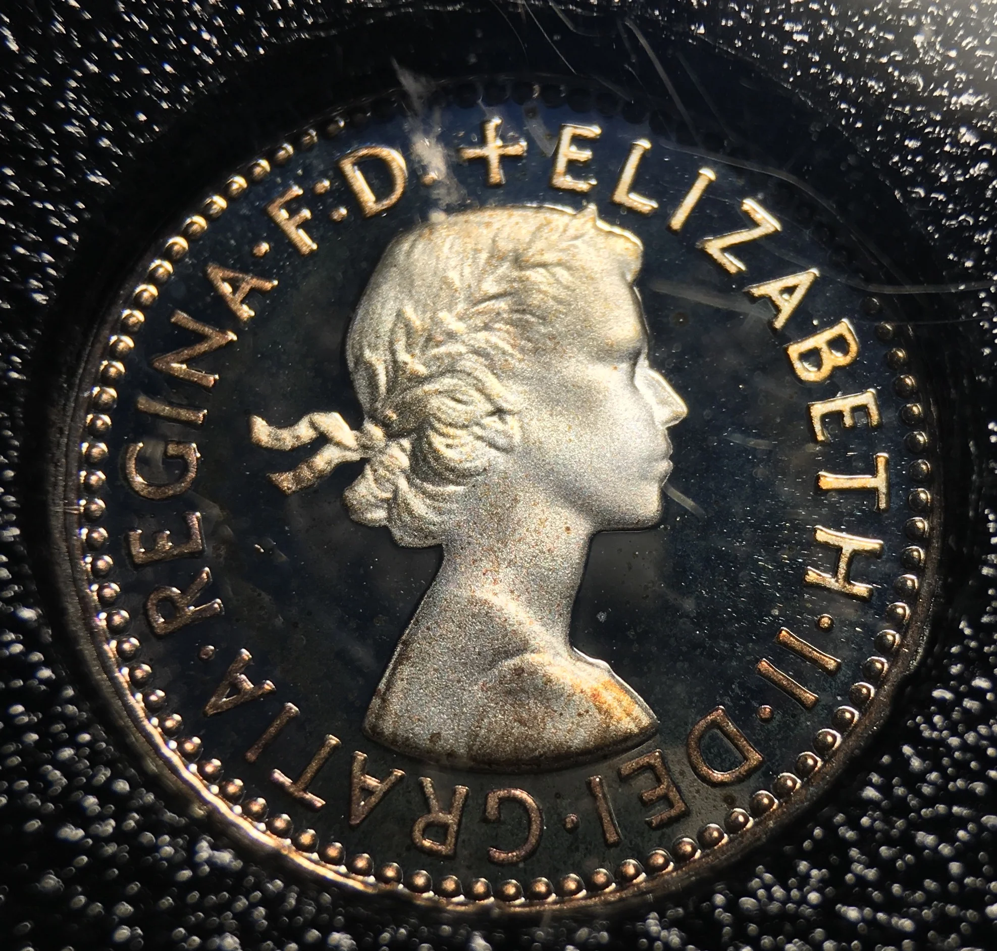2006eliz3pobv.jpg