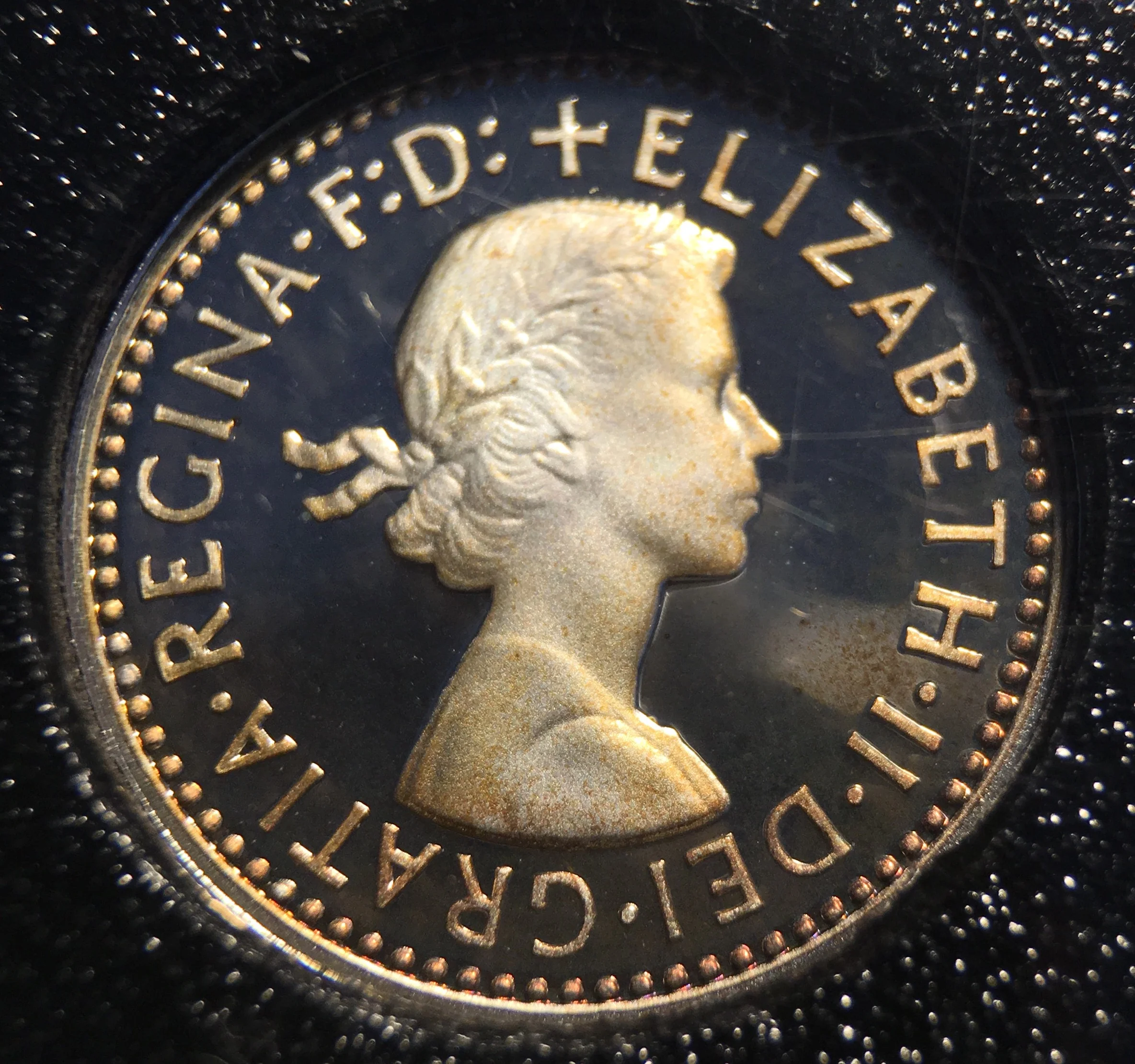 2006eliz4pobv.jpg