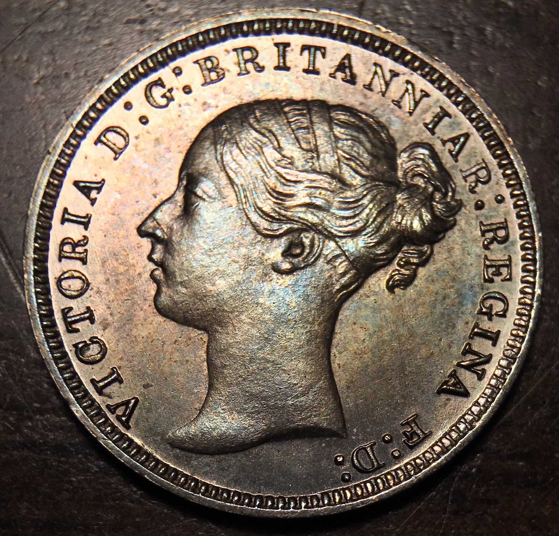 1875Yh3pobv.jpg