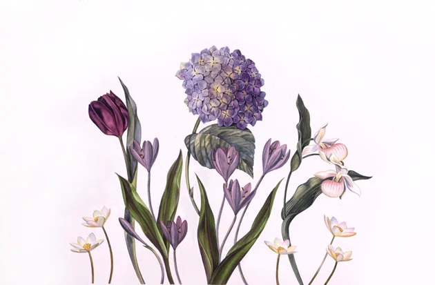  Spring Fashion Gala, invitation a rt.  