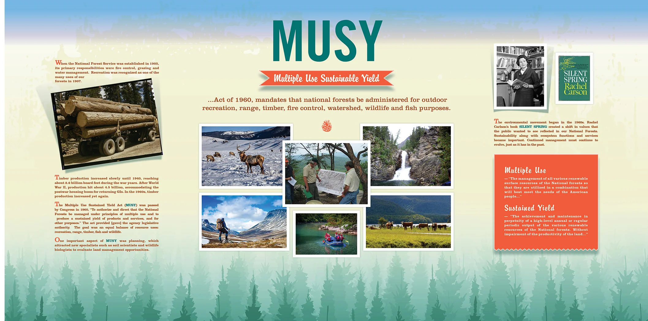 MUSY_1.jpg