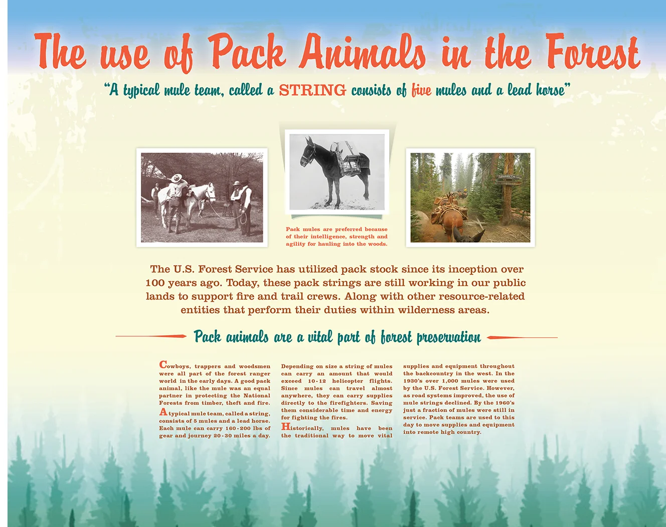 Pack_Animals_Actual_Size.jpg
