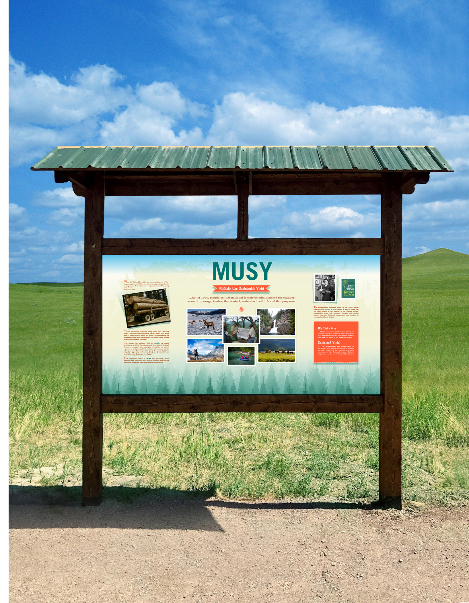 National_Forest_Musy.jpg