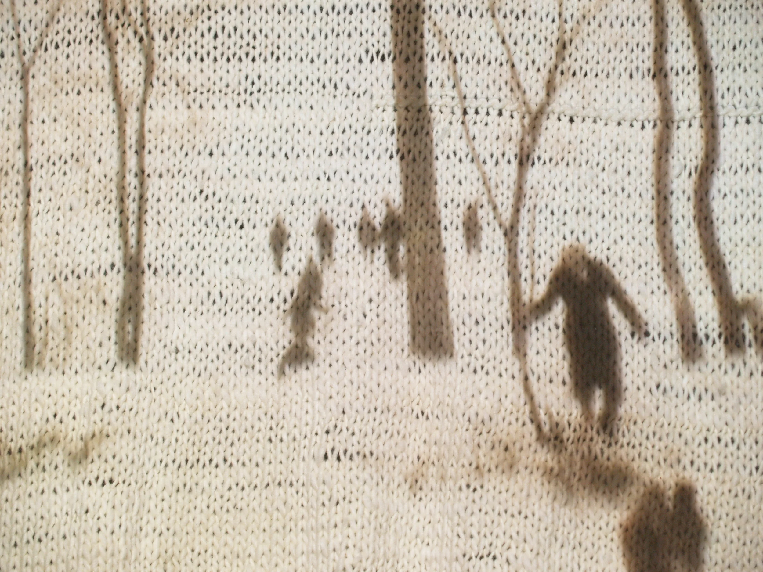   The Memory Stitch: Winter Sports / Point de mémoire: les sports d'hiver,&nbsp; Installation detail (Projection of digitized Regular&nbsp;8mm&nbsp;found film from 1935 onto handmade wool screen)  Photo Credit: Jacquelyn Hébert   Film distributed by 