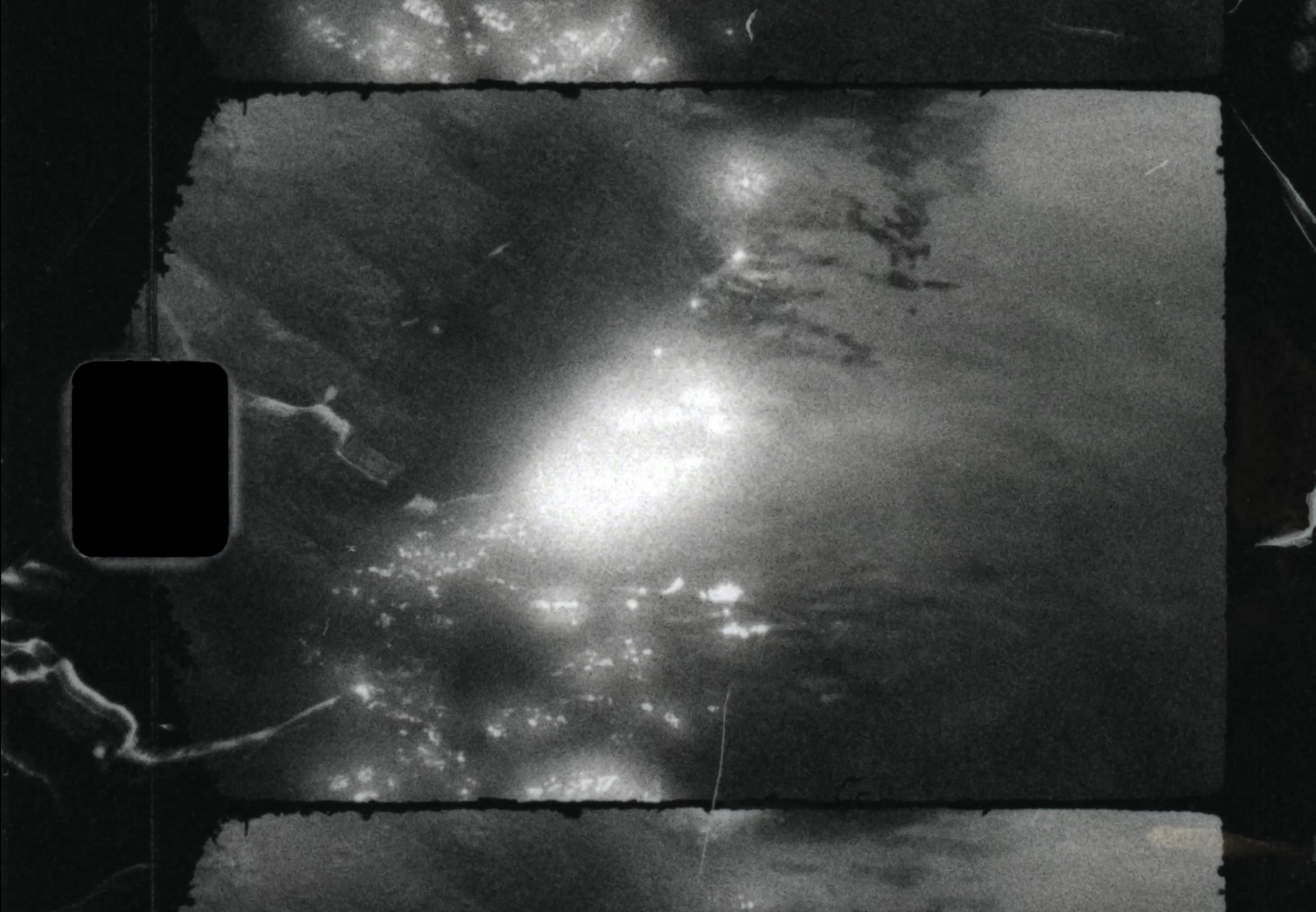 6_dogtooth_water reflection.png