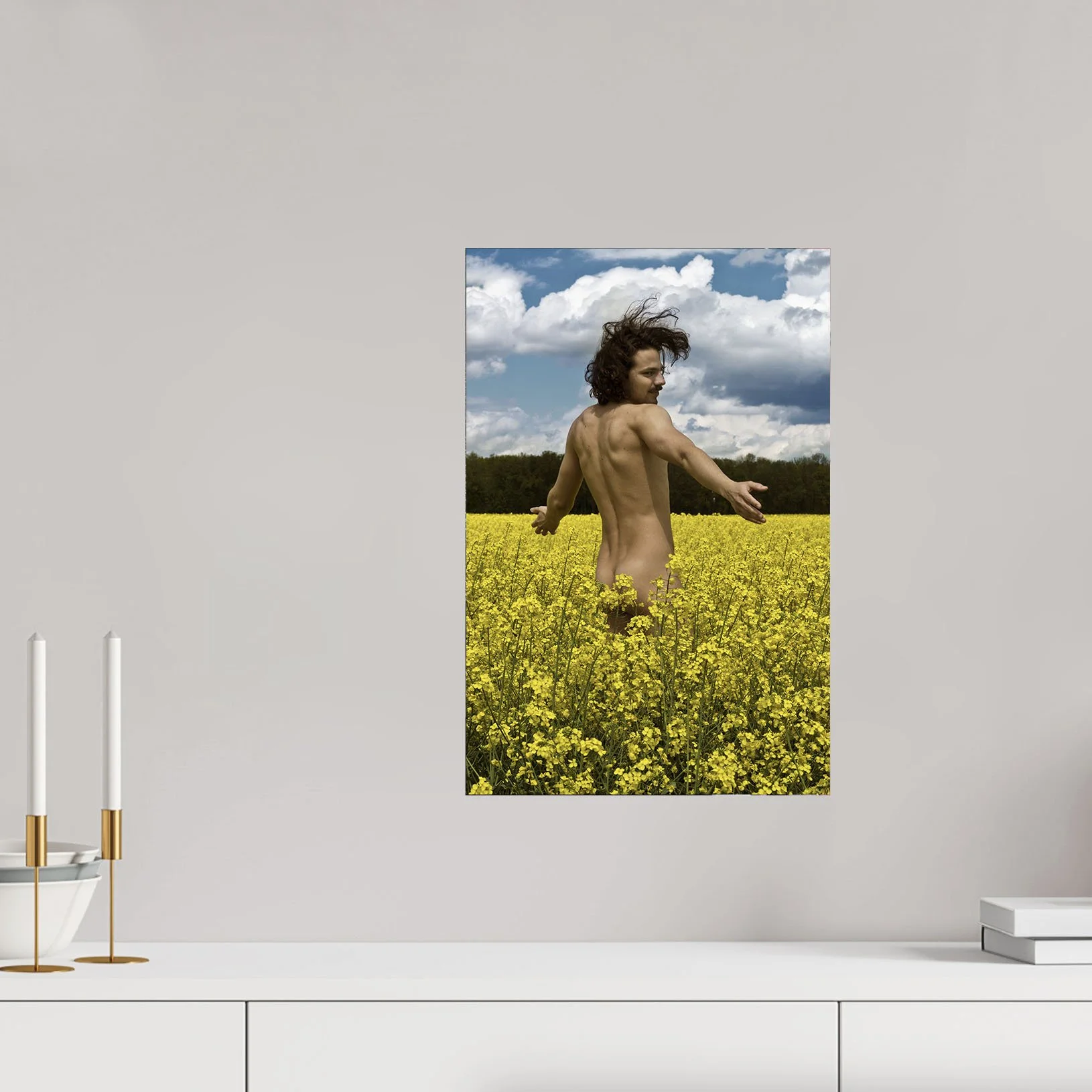RapsField_Fedya_Ili_2015_room.jpg