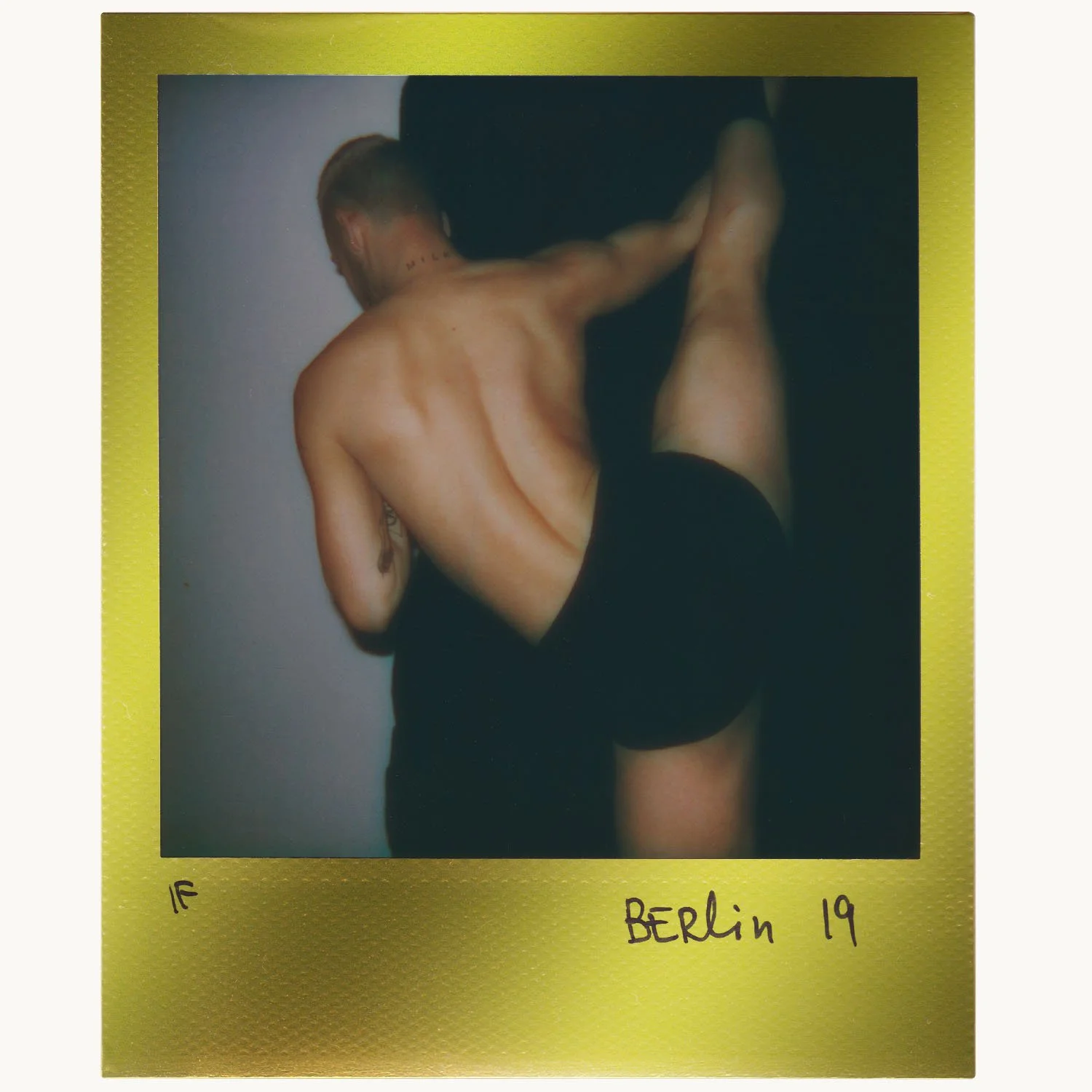 Polaroid #157, 2019