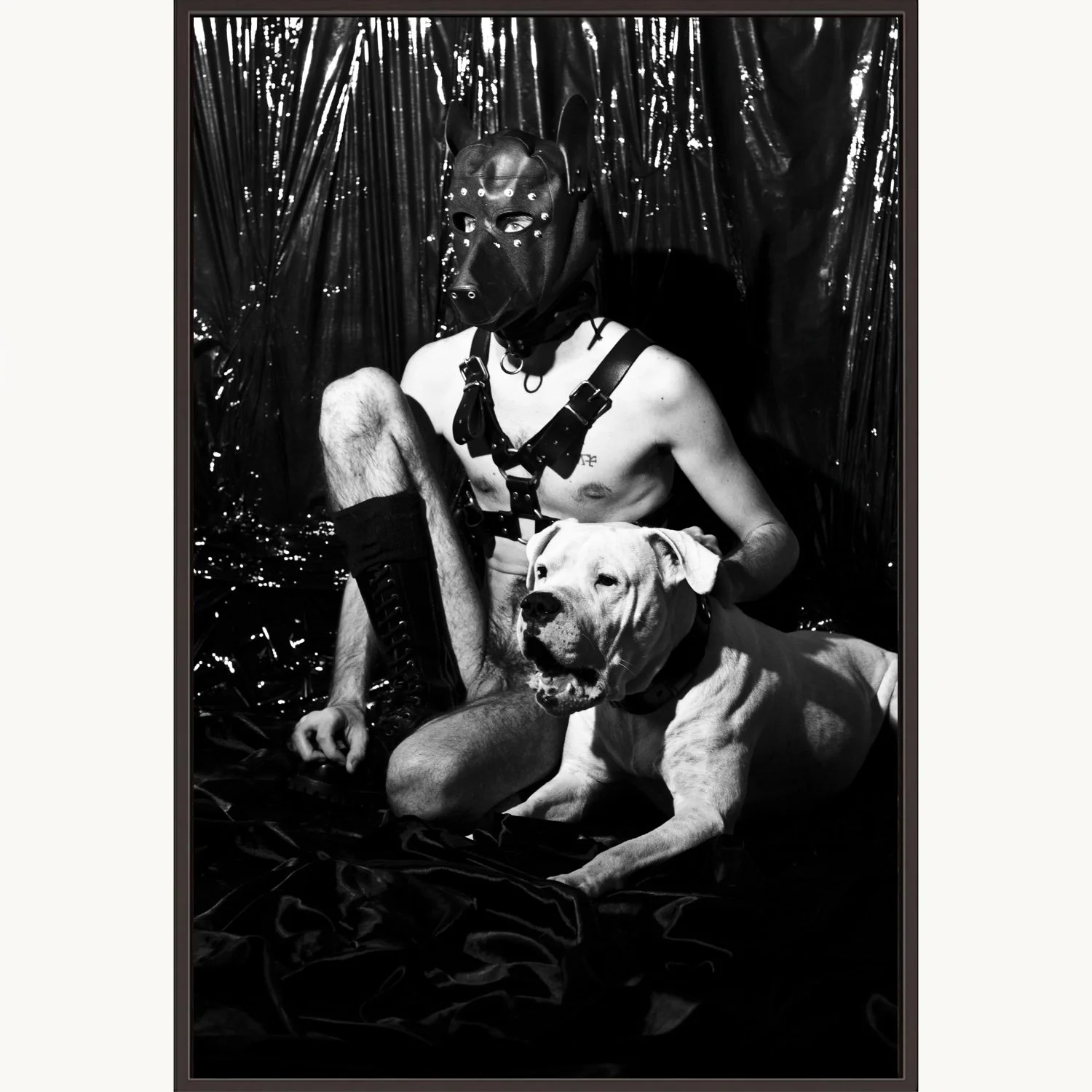 2013_DogTales_frame.jpg