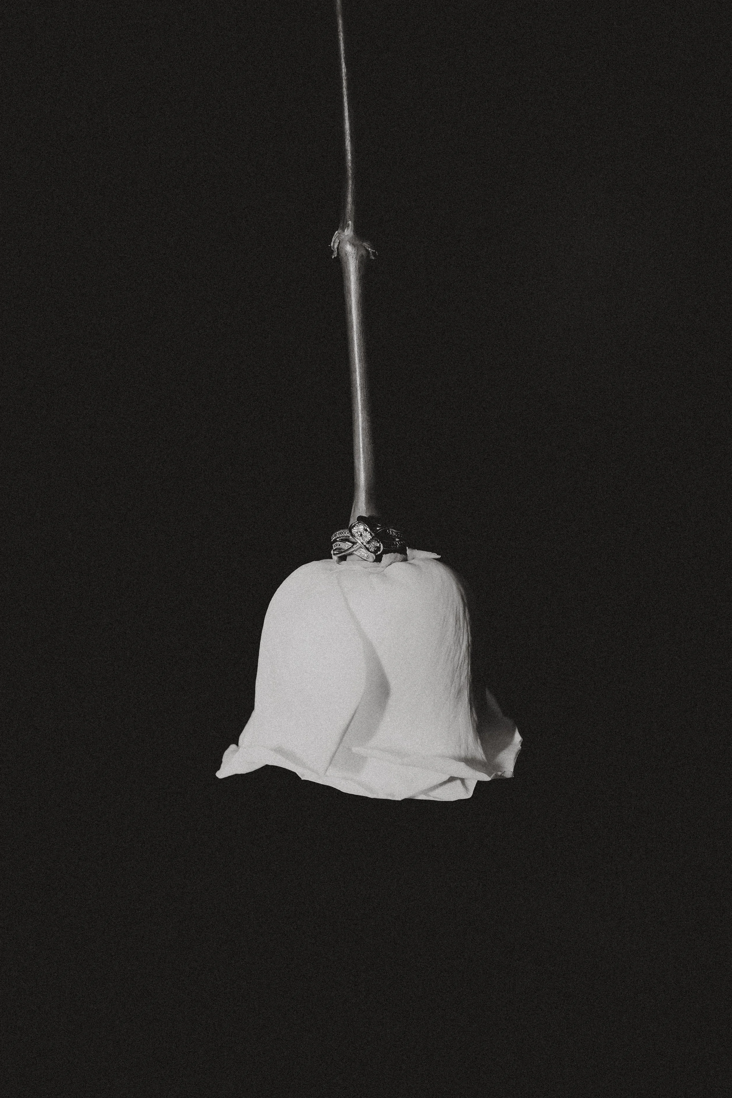 FreemanWedding-3(1of1).jpg