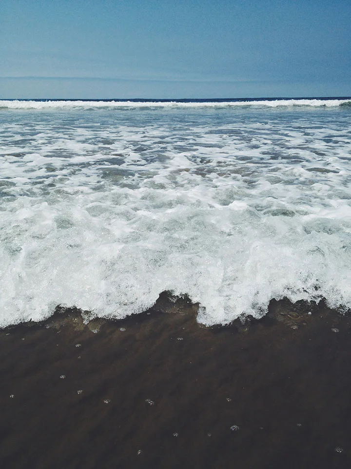 venice beach.jpg