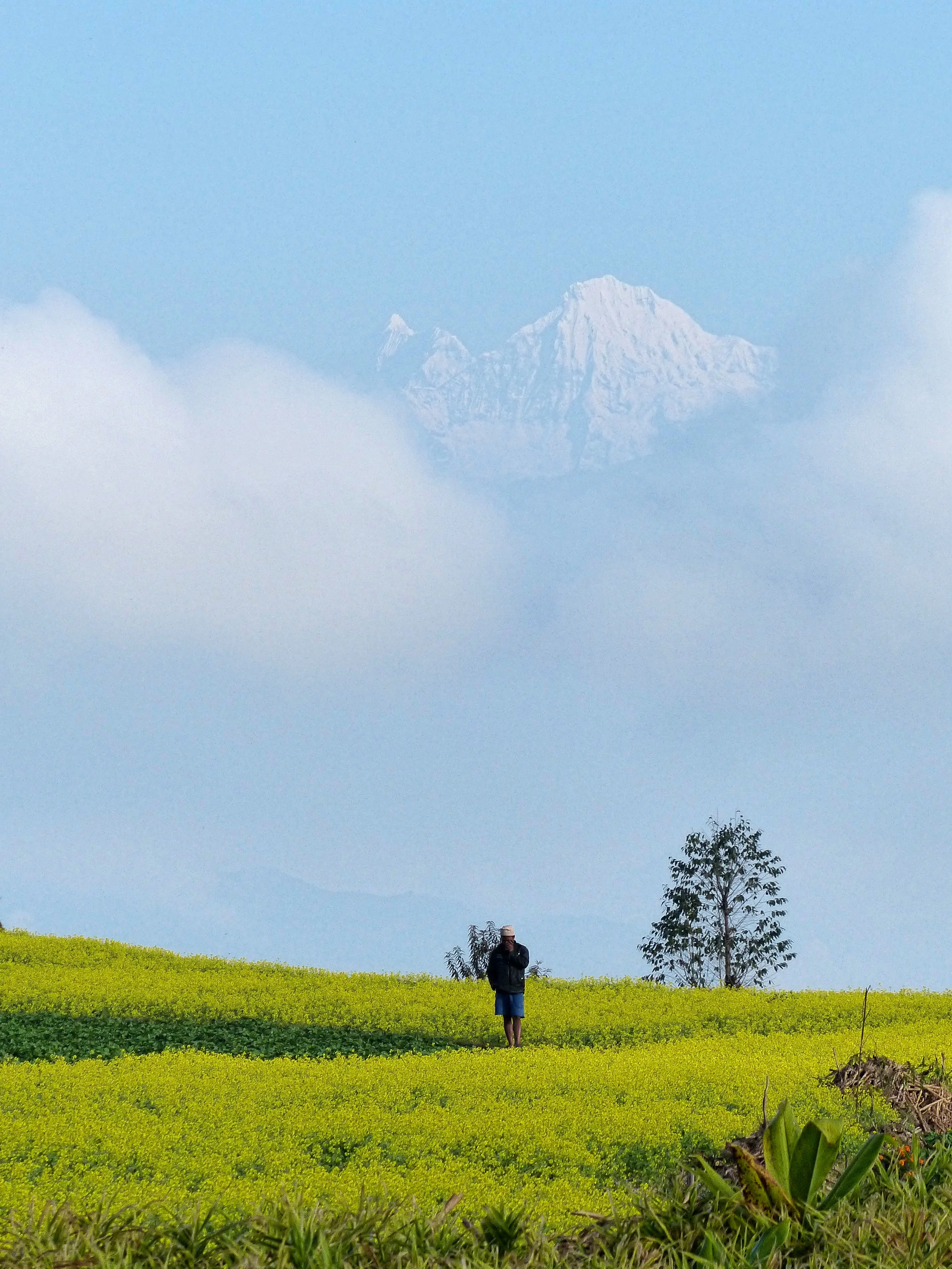 THERE's A MOUNTAIN.jpg