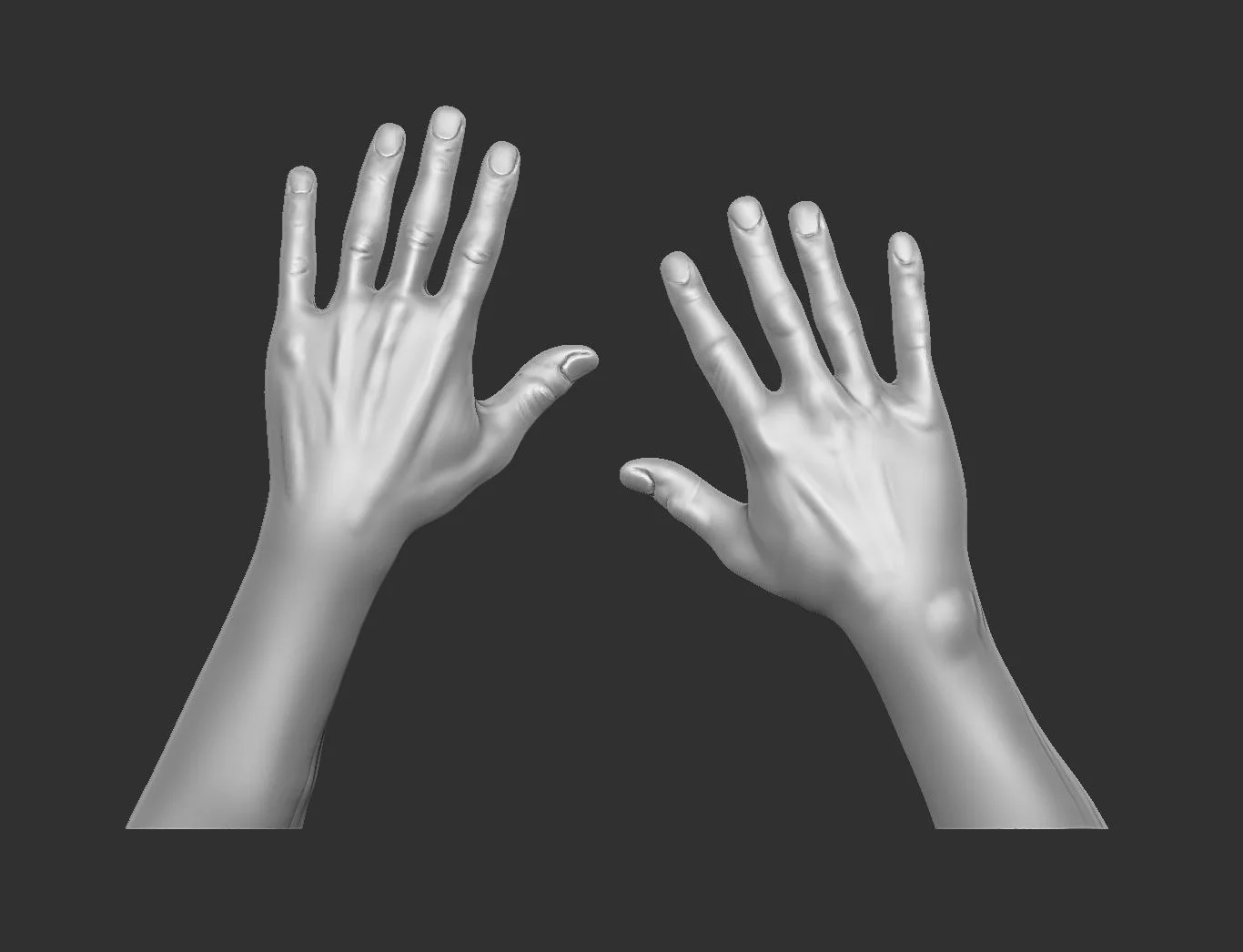 A basic rough sketch of the hero hands in Zbrush. 