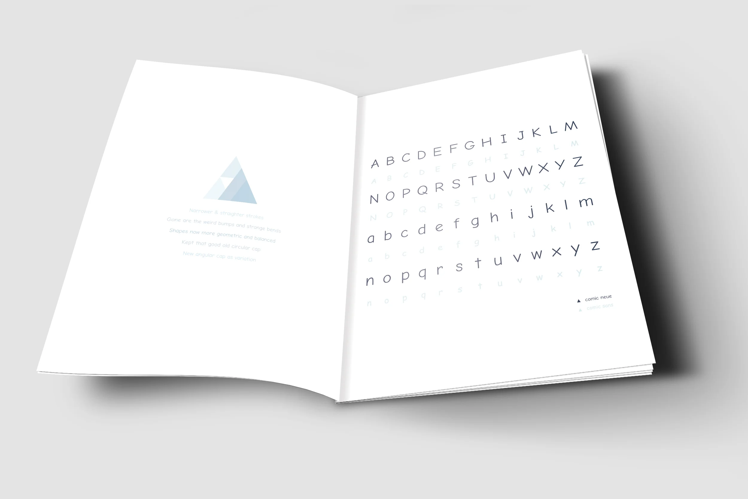 TypeSpecimentInner(filled)2.jpg