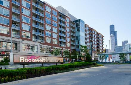 Roosevelt Collection