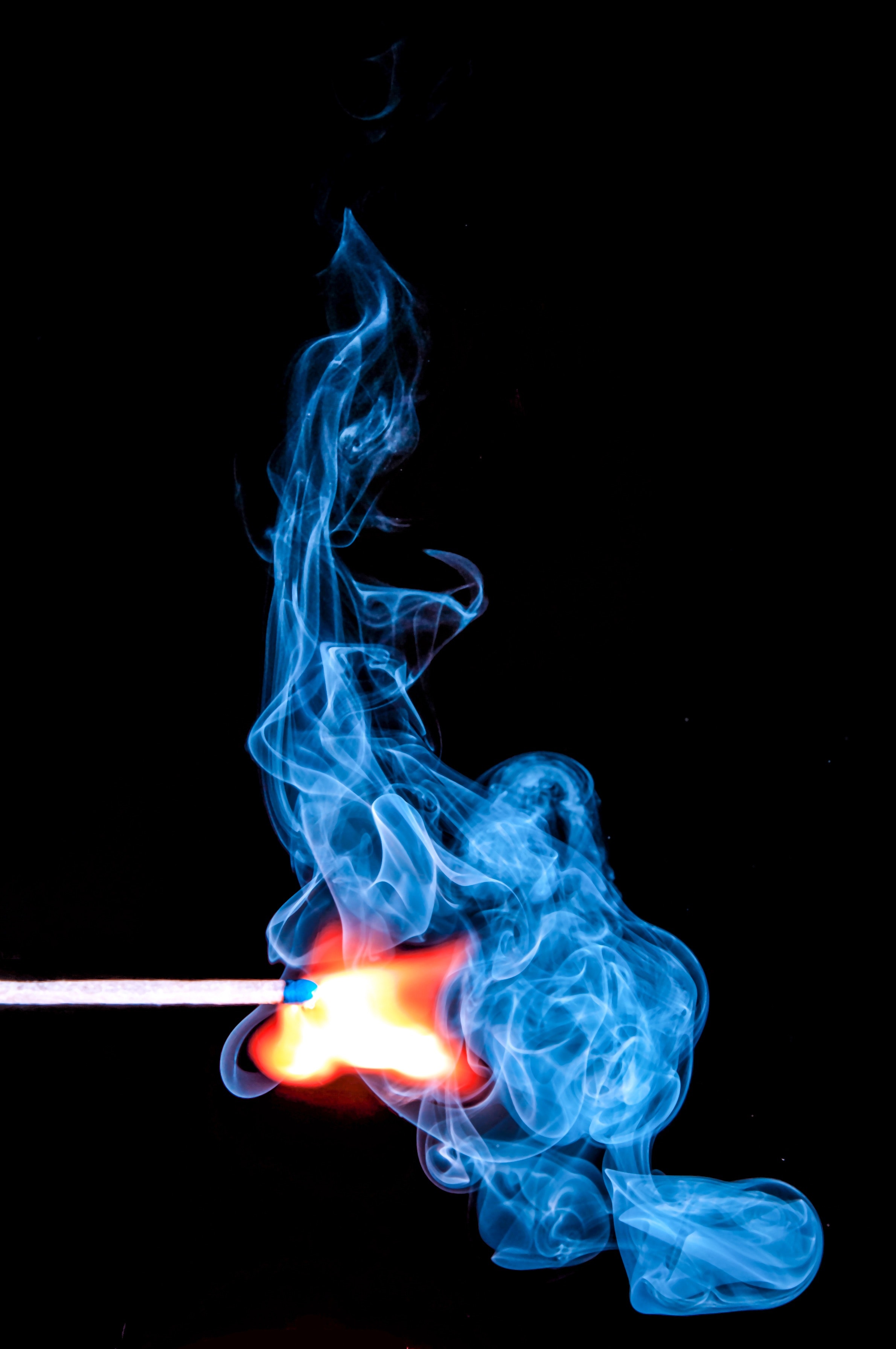 burn-fire-flame-54627.jpg