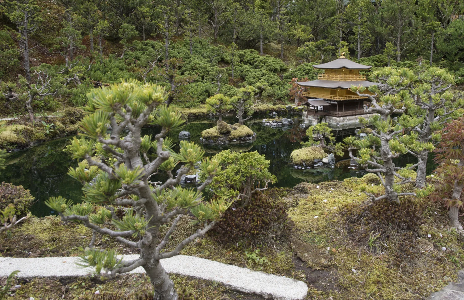 Tobu Square - Golden Temple in Kyoto, Japan