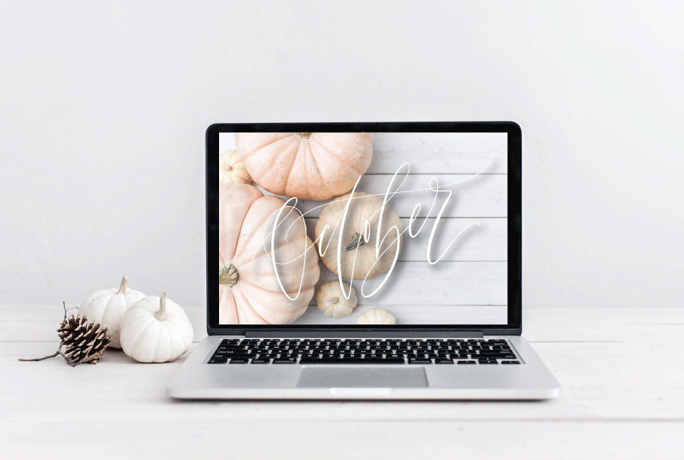 Connar Joy Calligraphy Fall-screensaver-with-laptop.gif