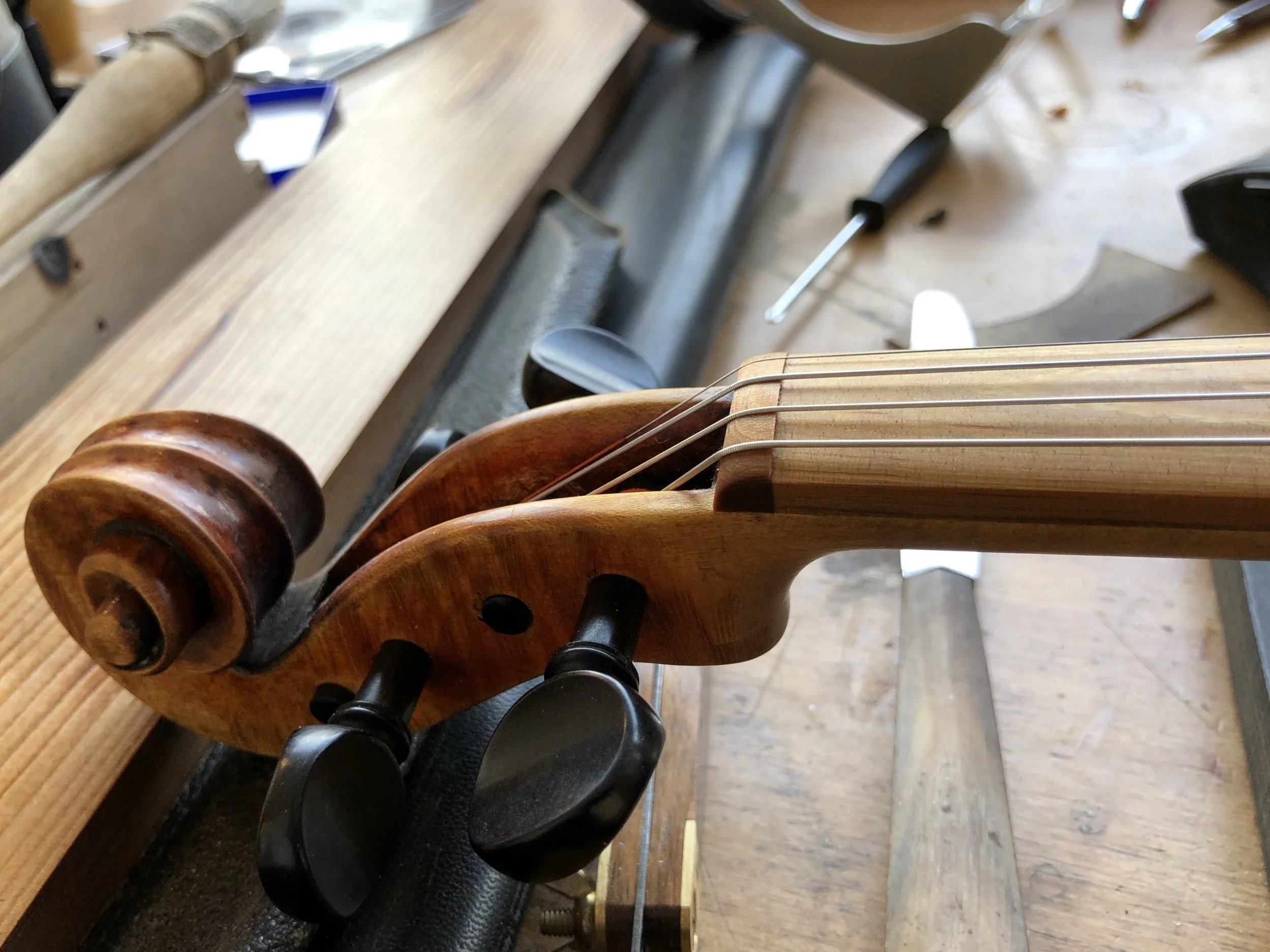 fingerboard and top nut made of densified spruce