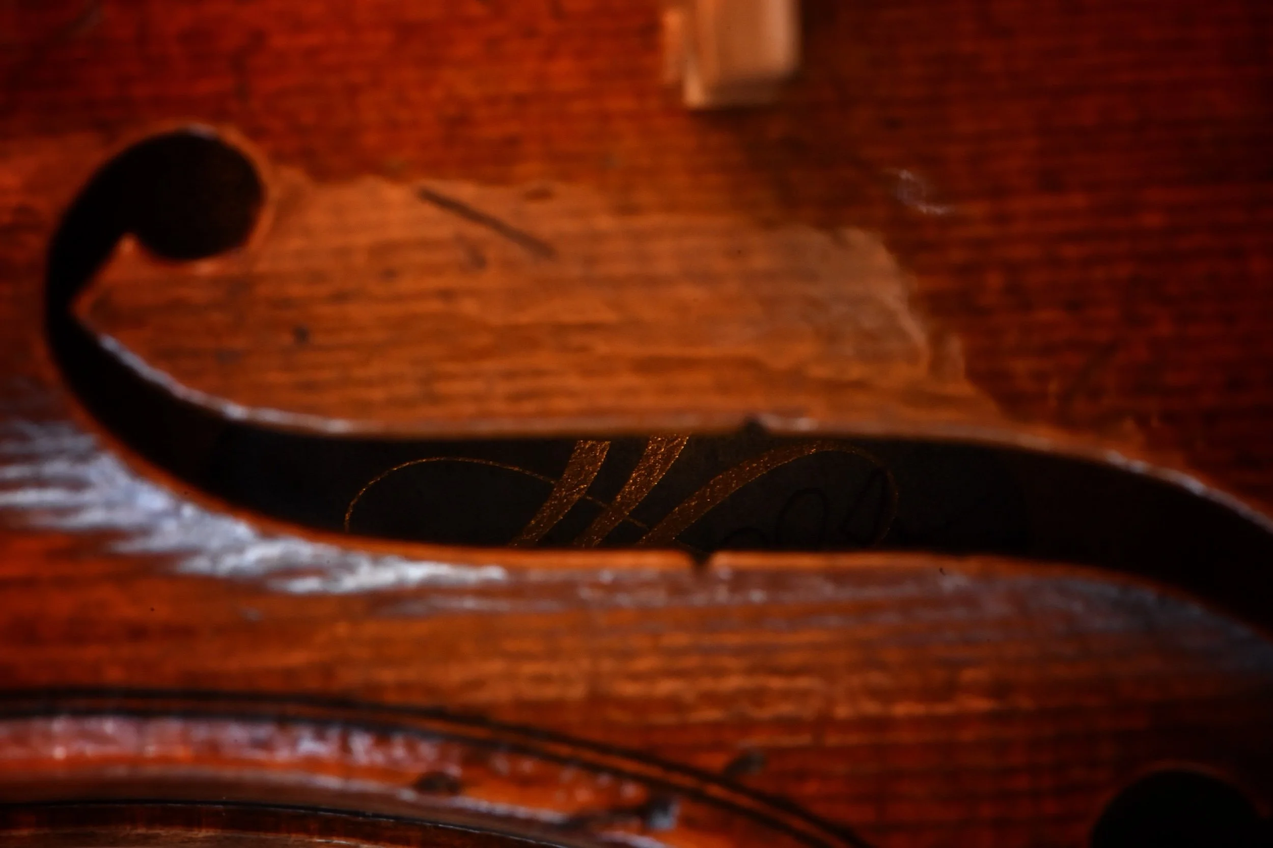 Philip Ihle, London 2025, DNA Strad PG Pattern