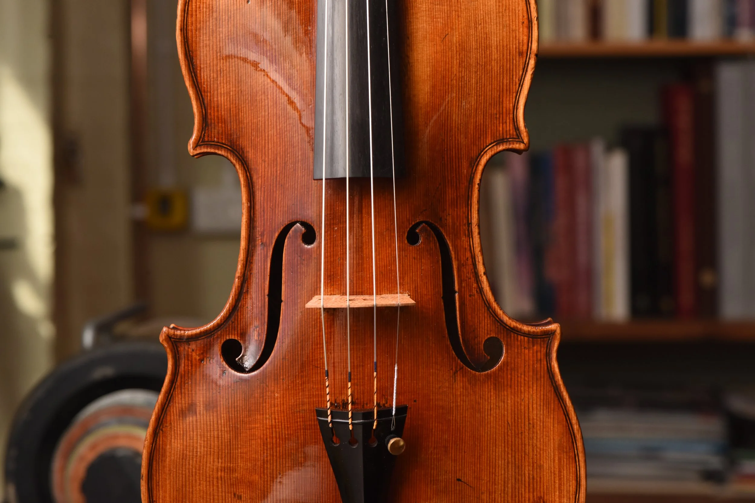 Philip Ihle,   London 2026,    DNA Strad PG-Pattern