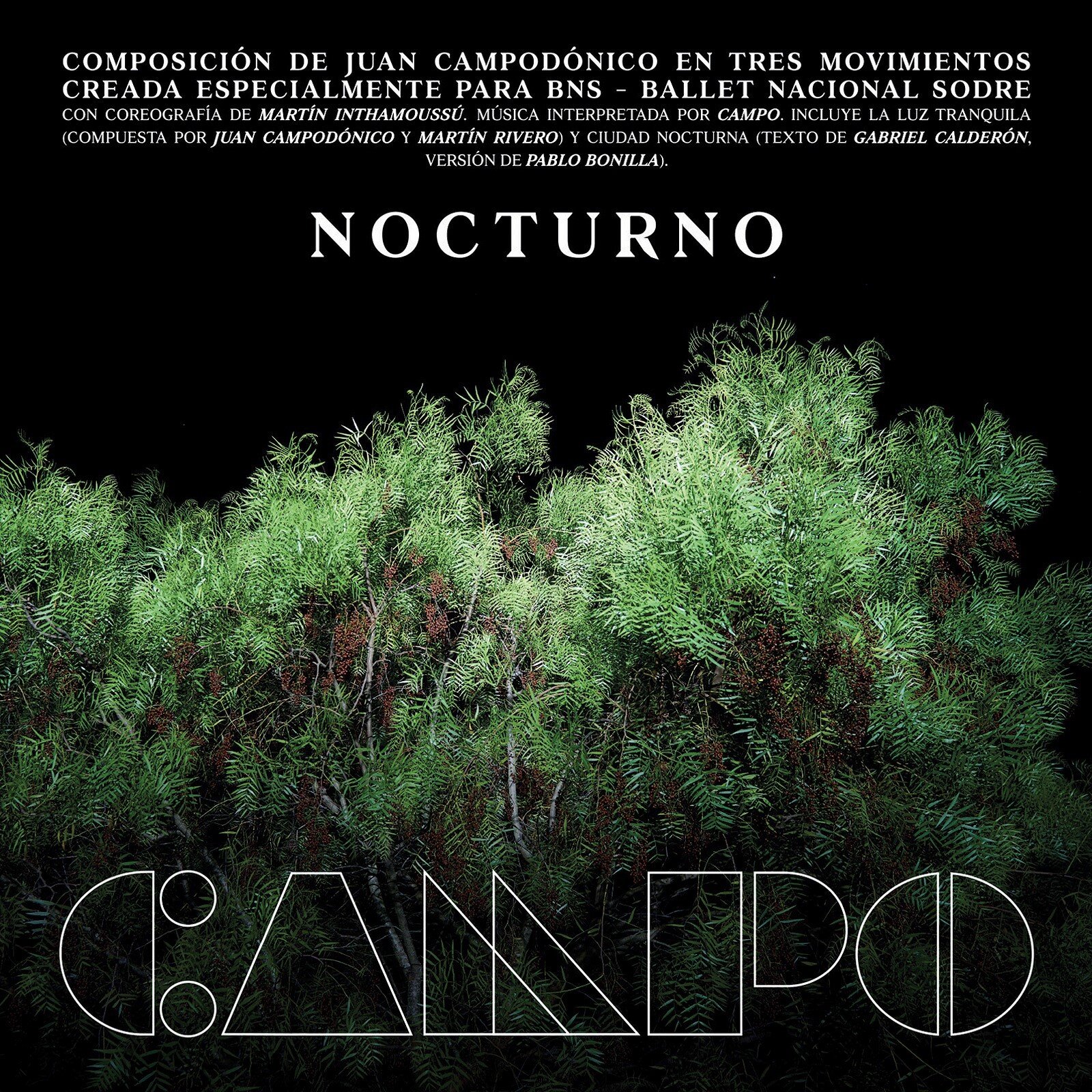 CAMPO.NocturnoCOVER.jpg