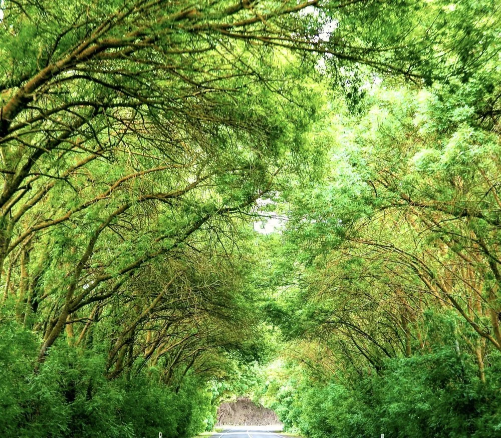 Free Group Meditation / Q&amp;A  - Encounter Bay, South Australia 