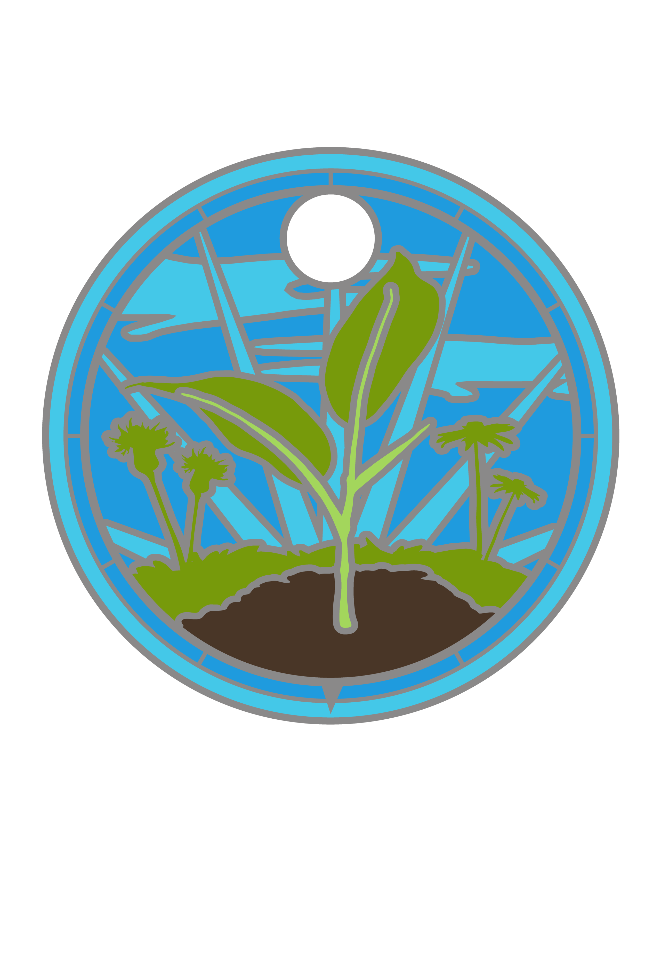 Store Kingdom Plantae Tag-01.png