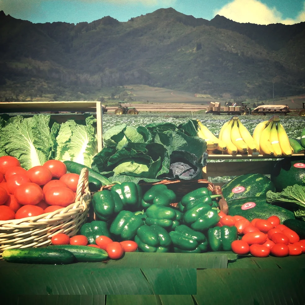 Ag Hawaii Ad copy.jpg