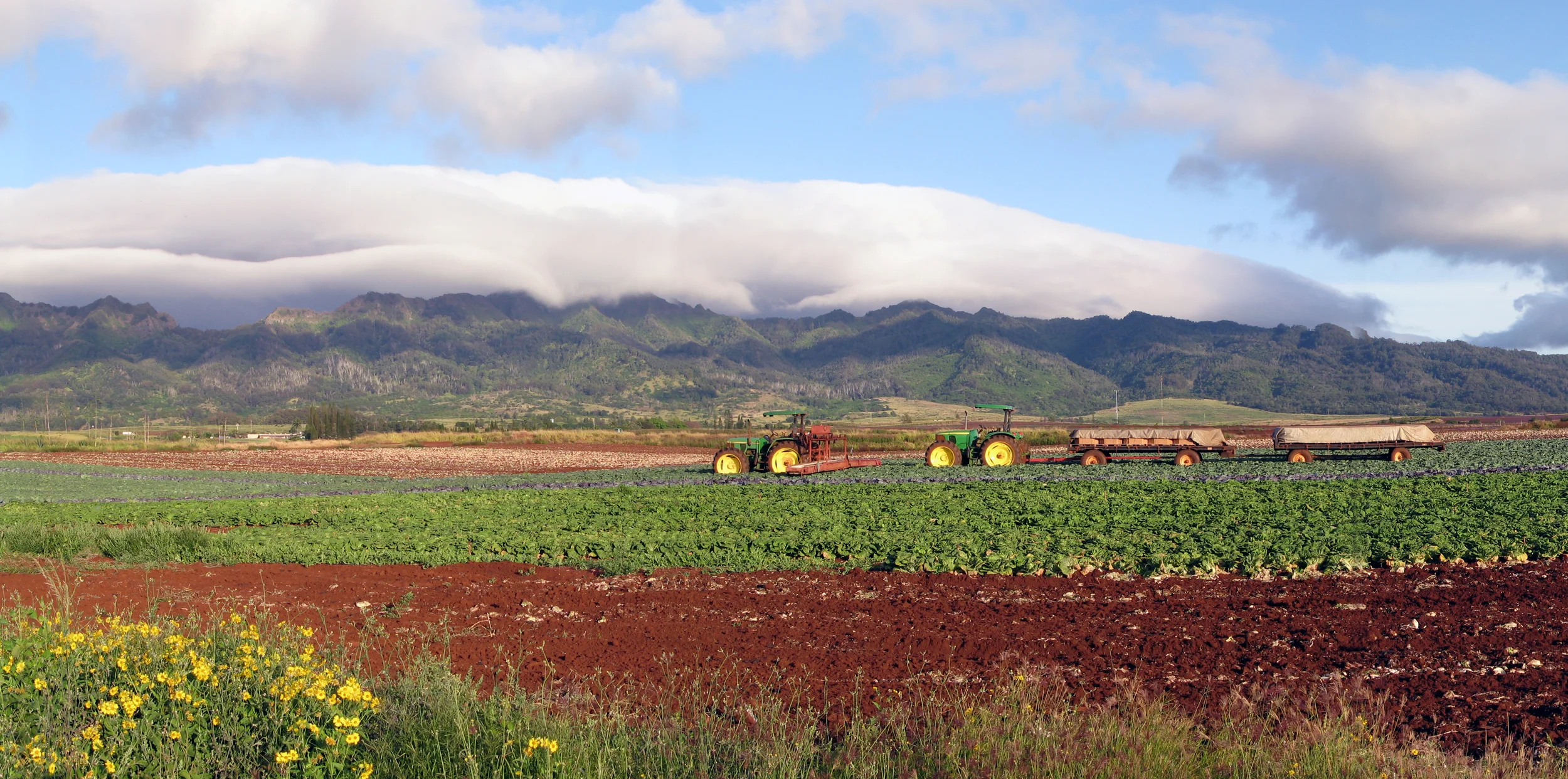 Our tractors and trailers